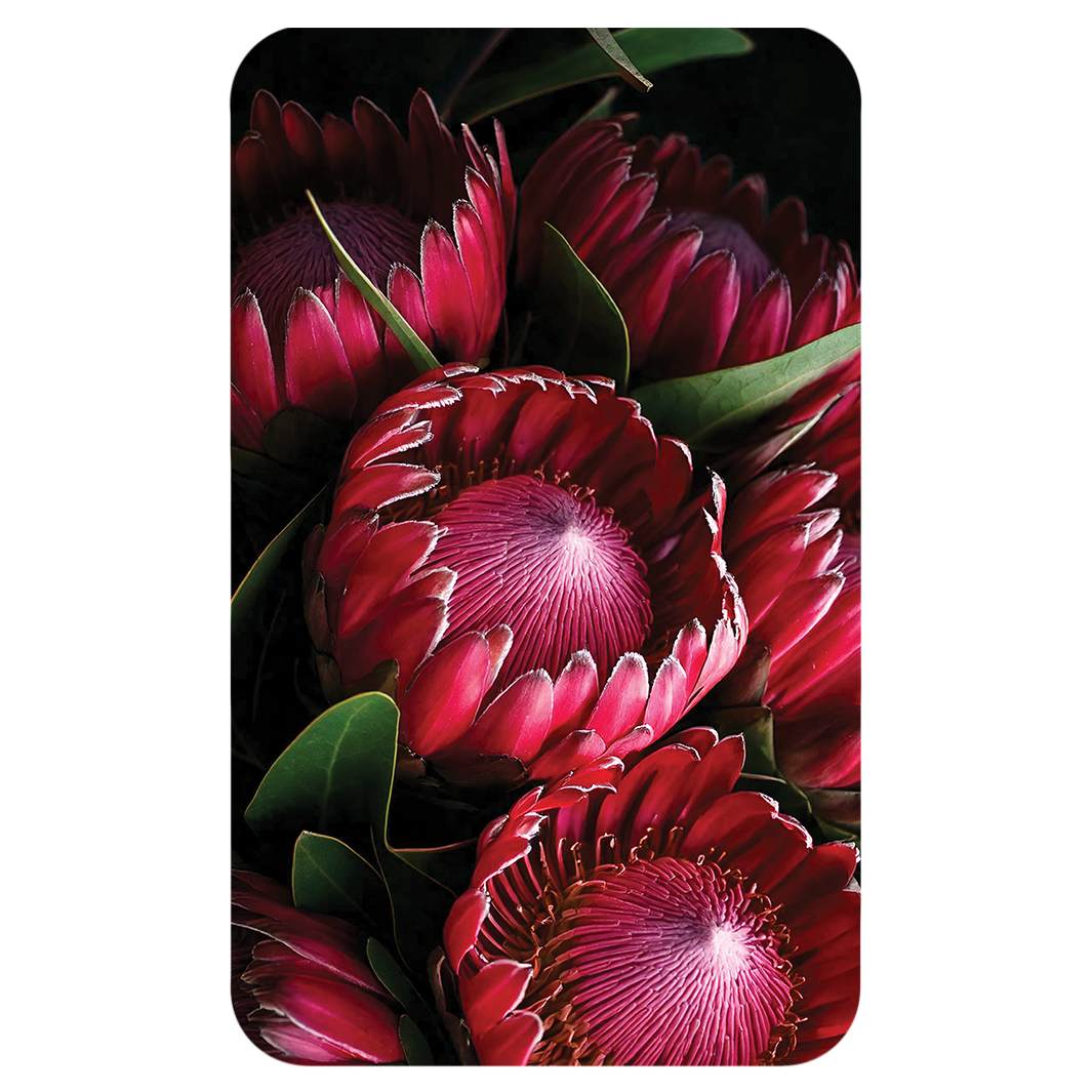 NOCTURNAL PROTEAS KITCHEN TOWEL