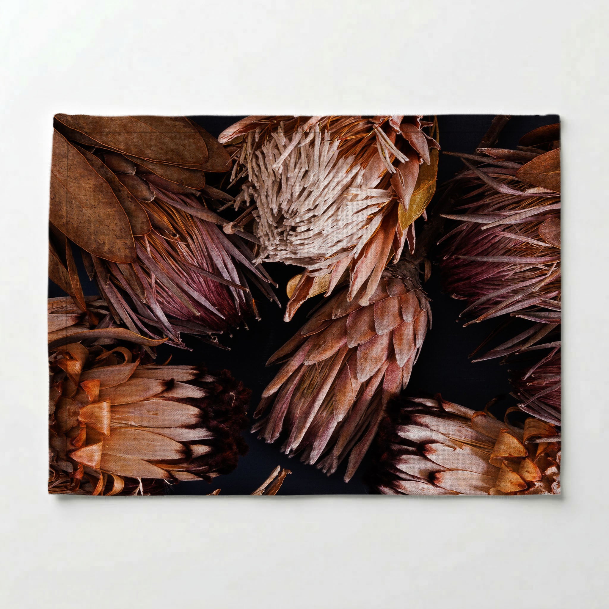 GOLDEN BROWNS PROTEAS PLACEMAT