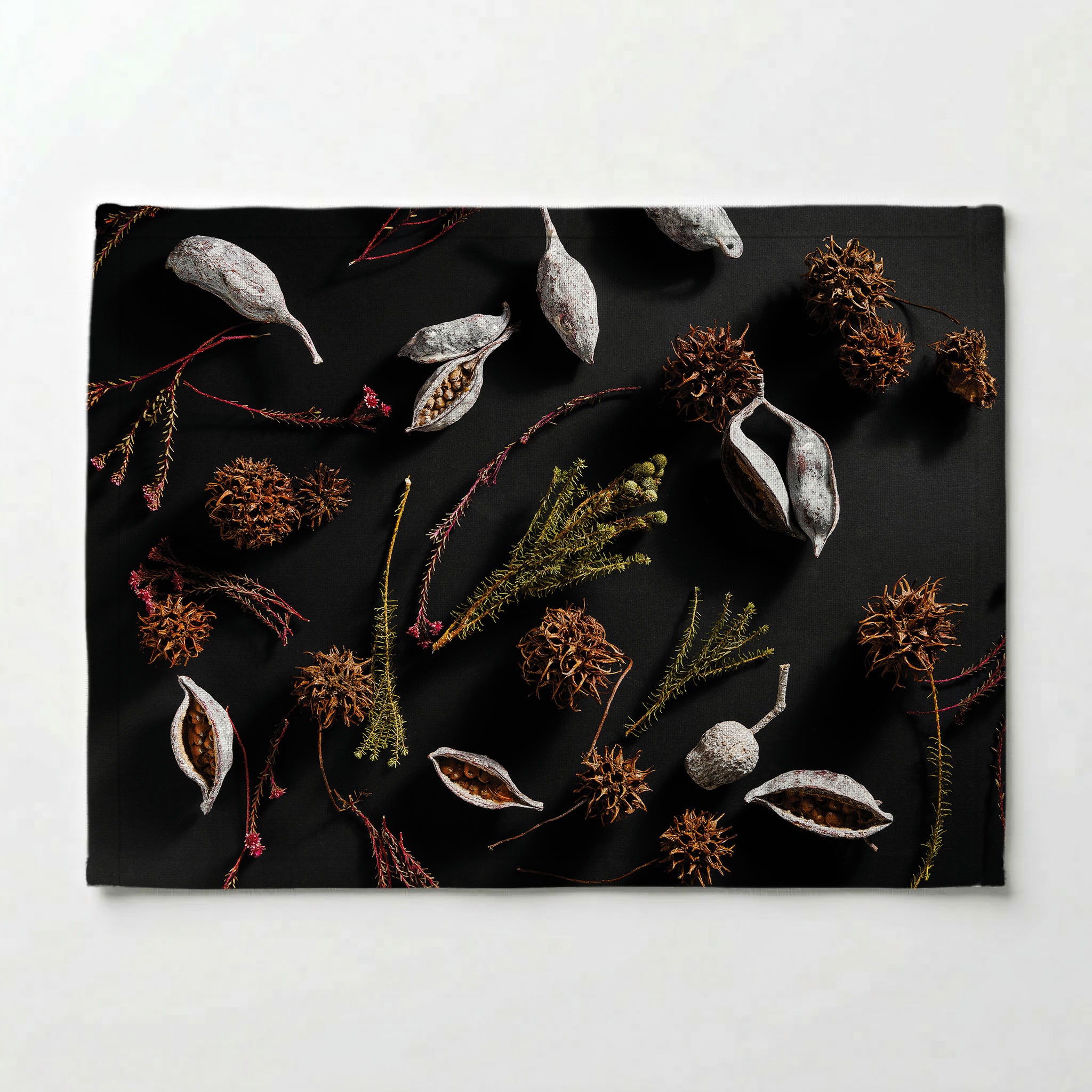 DRIED PODS, SPRIGS, AND SEEDS ON BLACK PLACEMAT