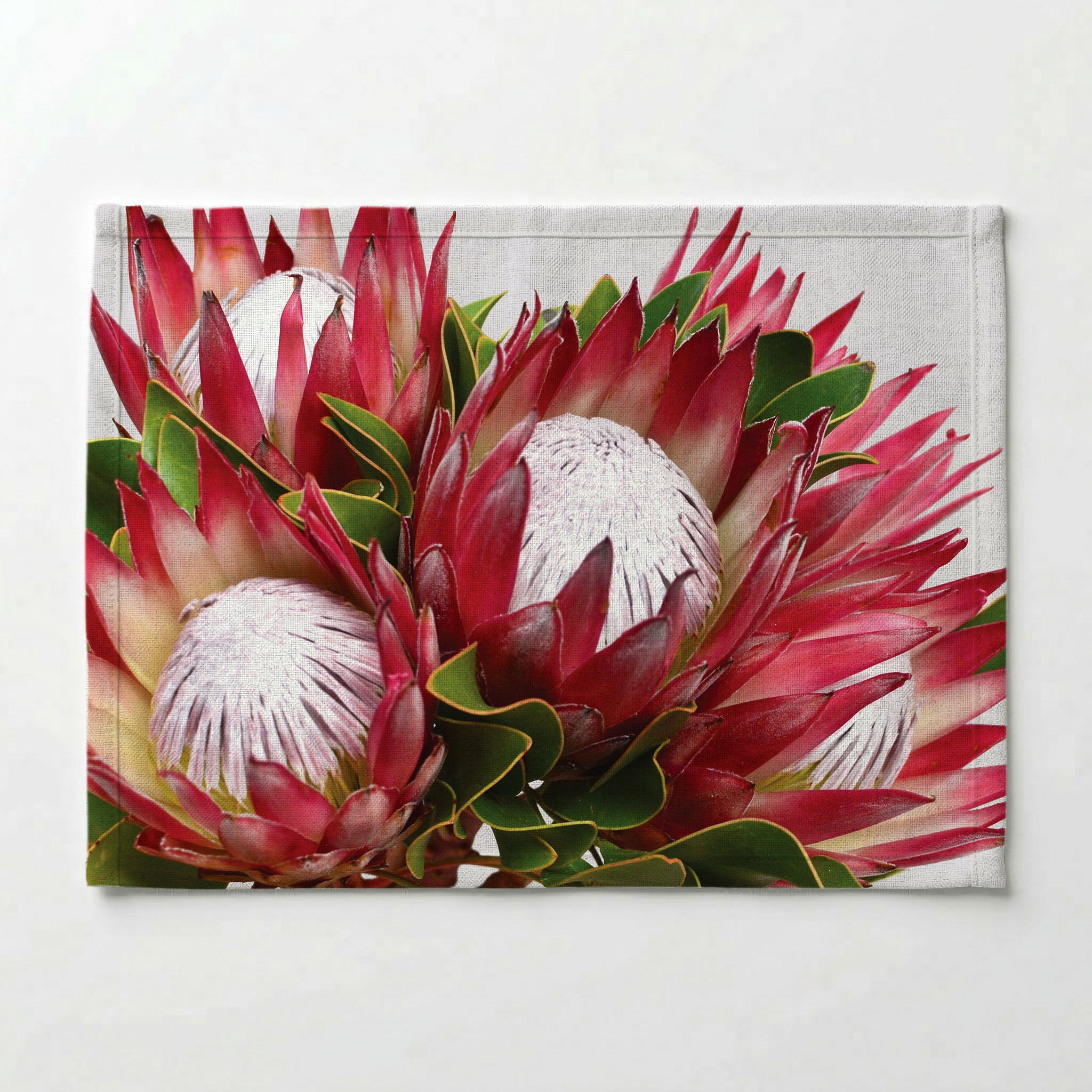 THE CLUSTER PROTEAS PLACEMAT