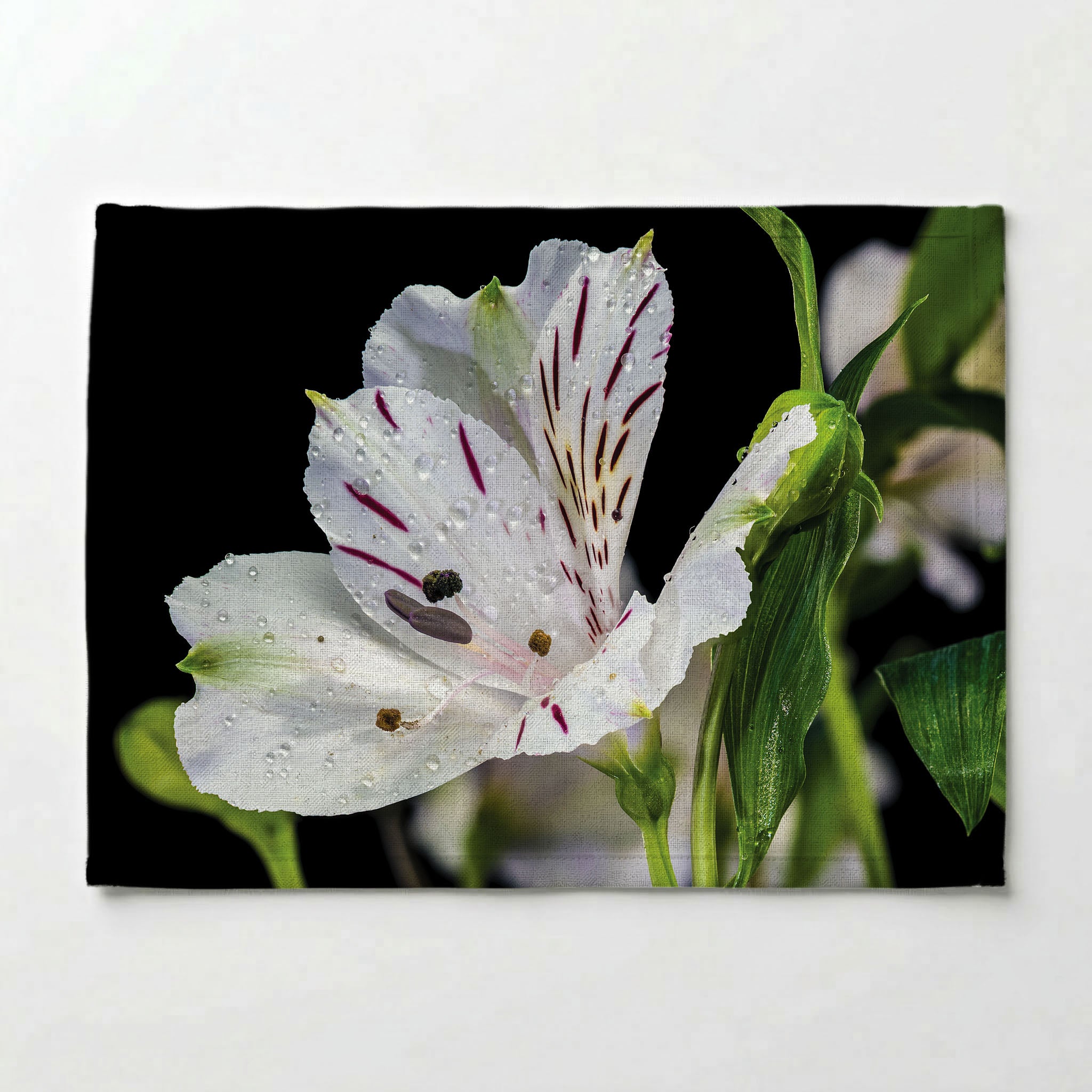 INCA TRIO PLACEMAT