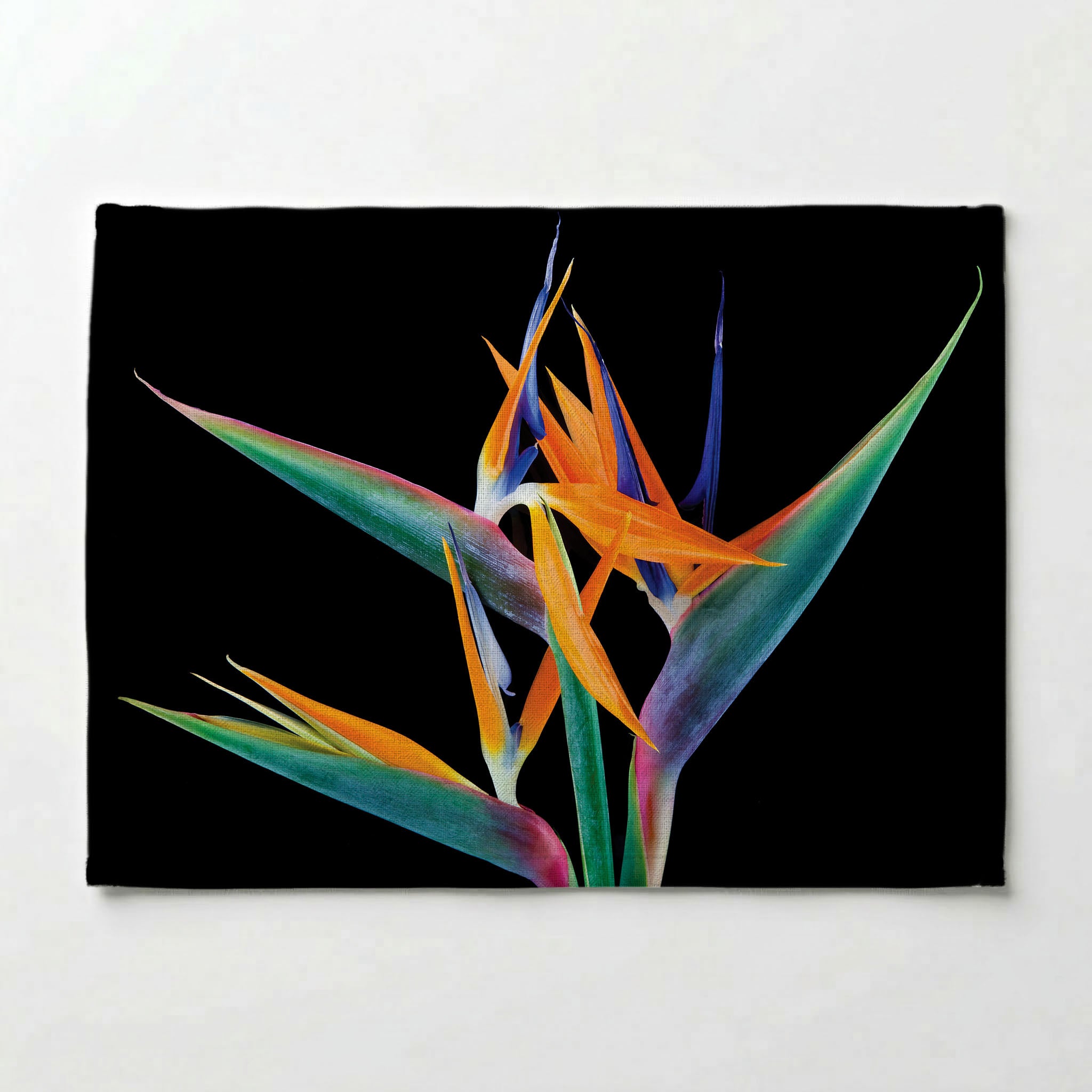 BIRD OF PARADISE PLACEMAT