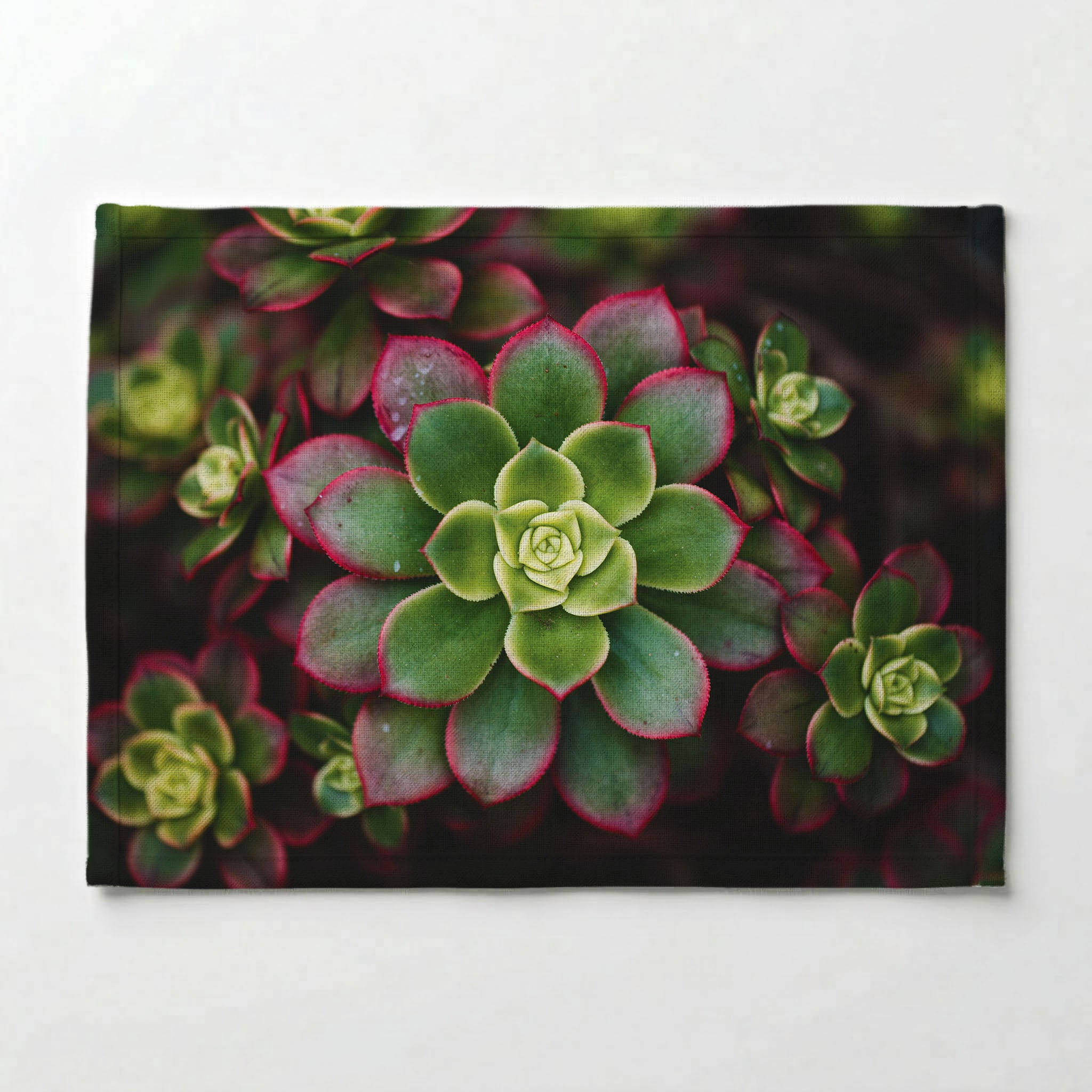 DARK GARDEN SUCCULENTS PLACEMAT