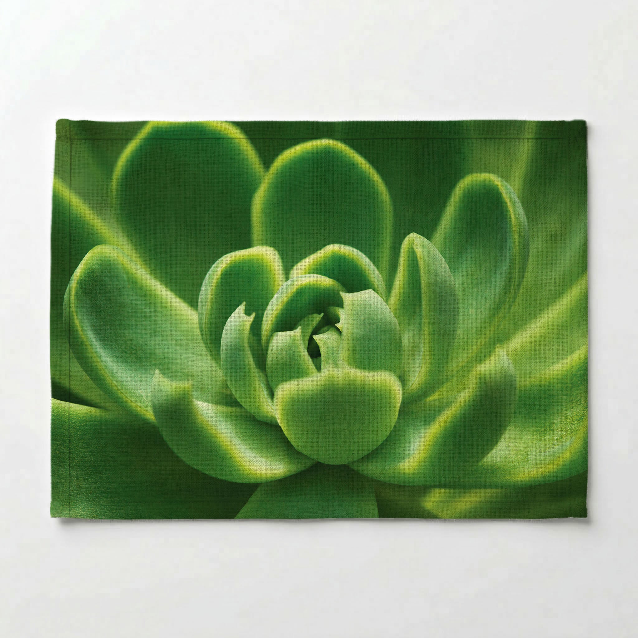 GREEN CORE SUCCULENT PLACEMAT