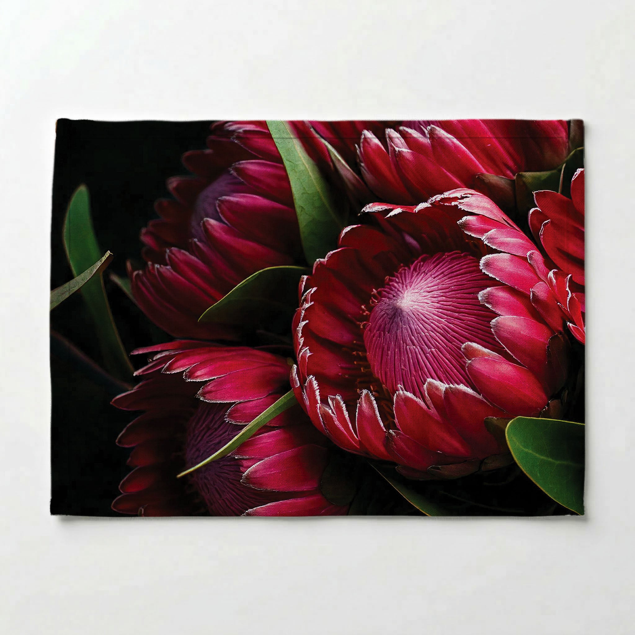 NOCTURNAL PROTEAS PLACEMAT