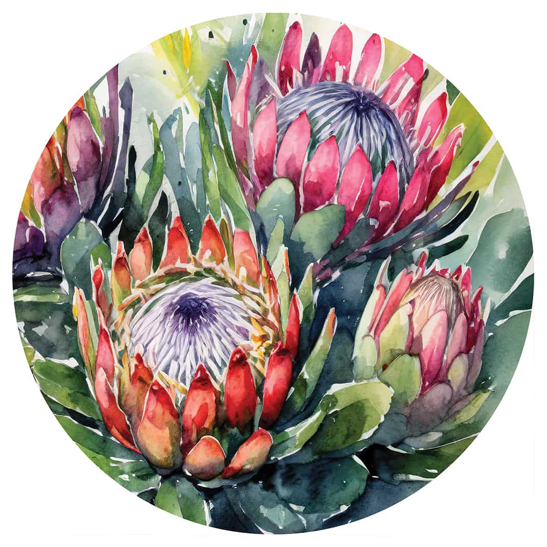 FIVE WATERCOLOUR PROTEAS ROUND RUG