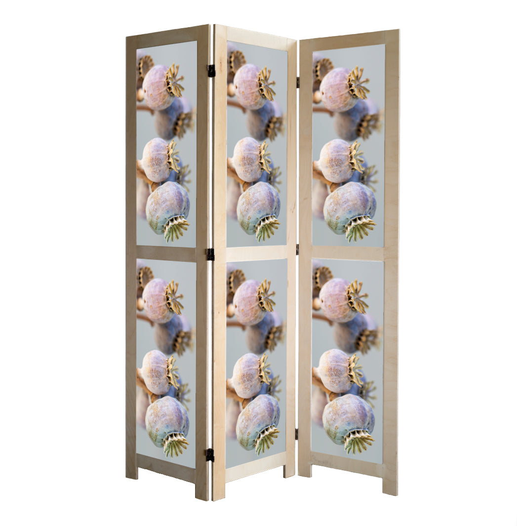 NATURAL PURPLE GIANT POPPY SEED BUNCH ON GREY ROOM DIVIDER