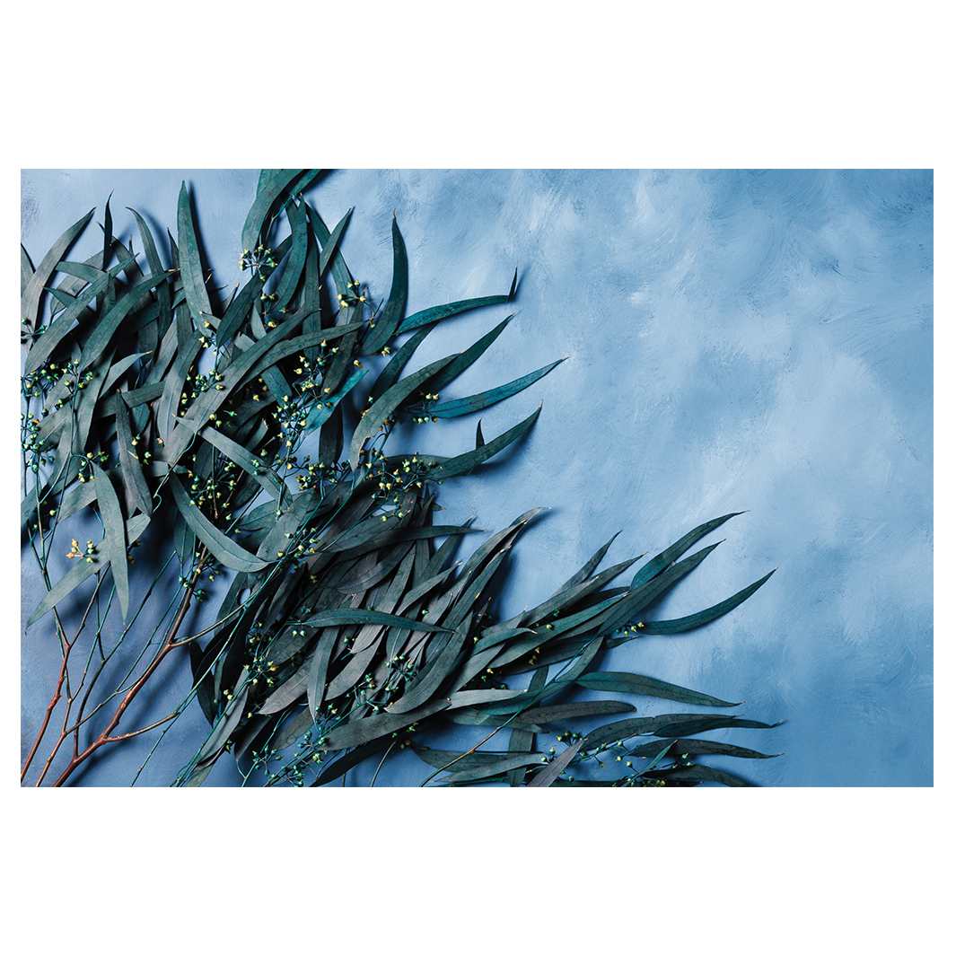 SPREAD EUCALYPTUS LEAVES ON BLUE RECTANGULAR RUG