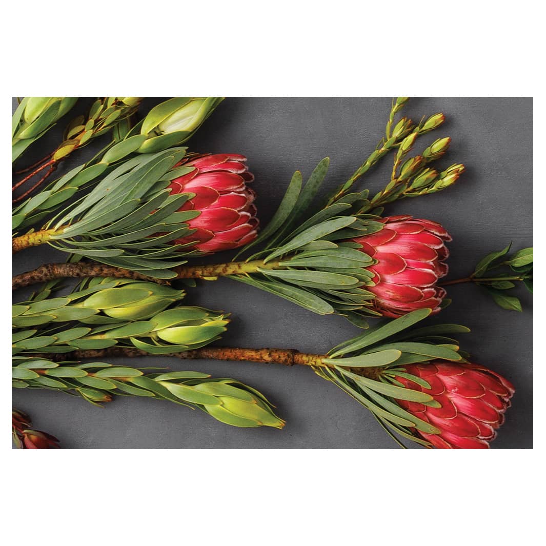 PINK PROTEAS ON GREY RECTANGULAR RUG