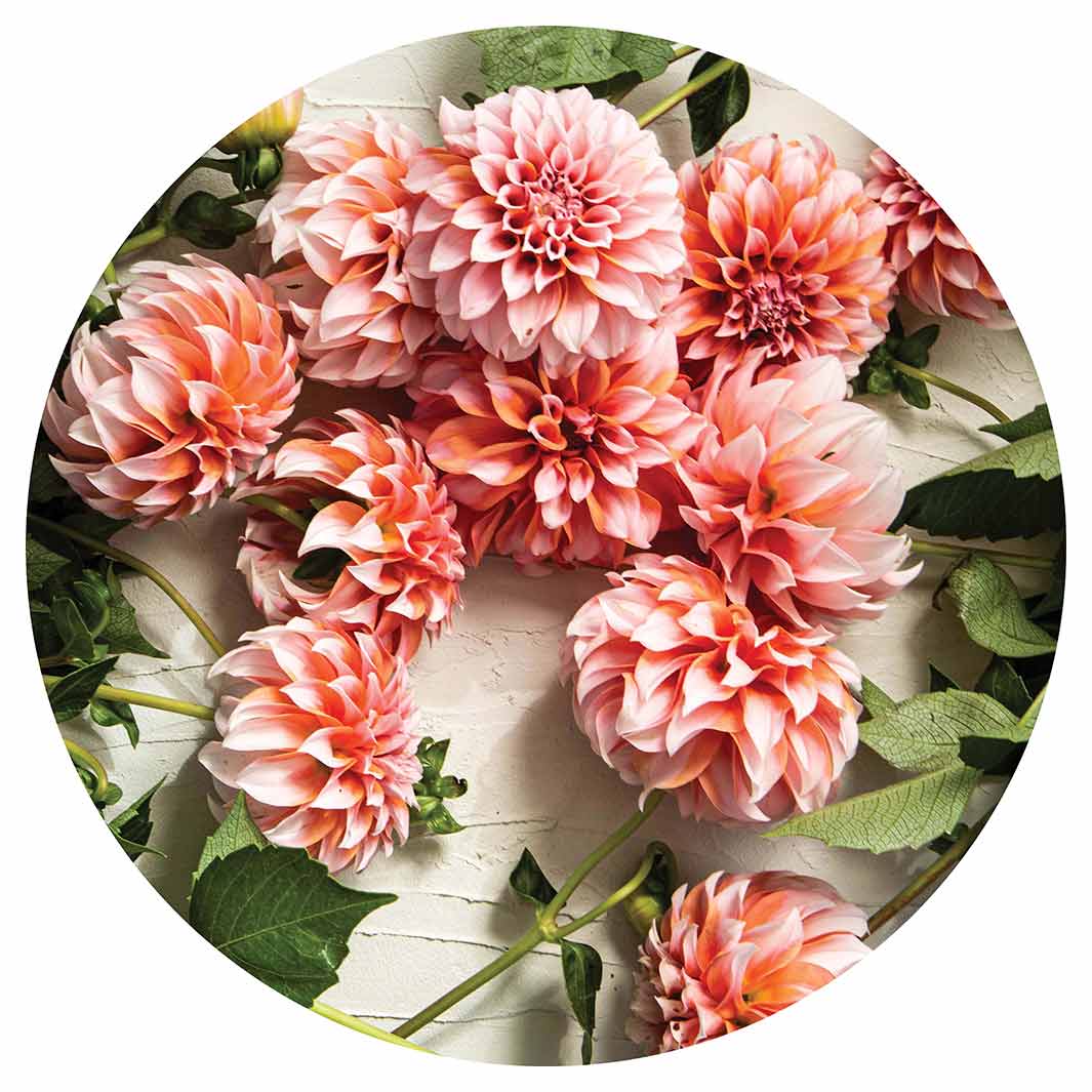 FLORAL ORANGE SCATTERED DAHLIAS WITH LEAVES CHEESEBOARD