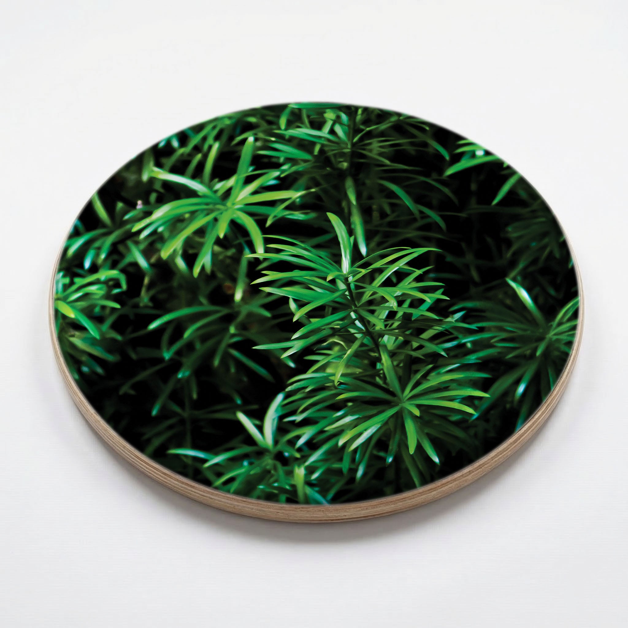 LEAVES GREEN TREE CHEESEBOARD