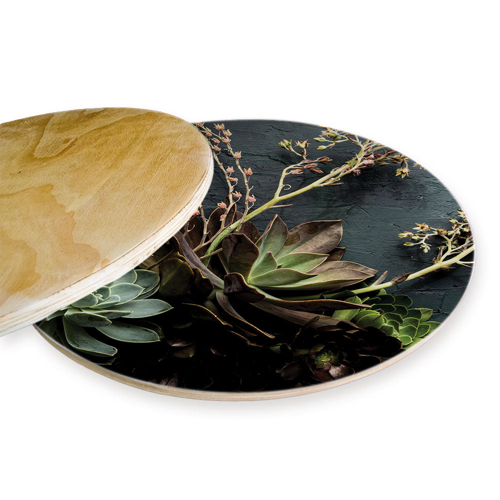 NATURAL GREEN ALOE BUSH WITH LEAVES CHEESEBOARD