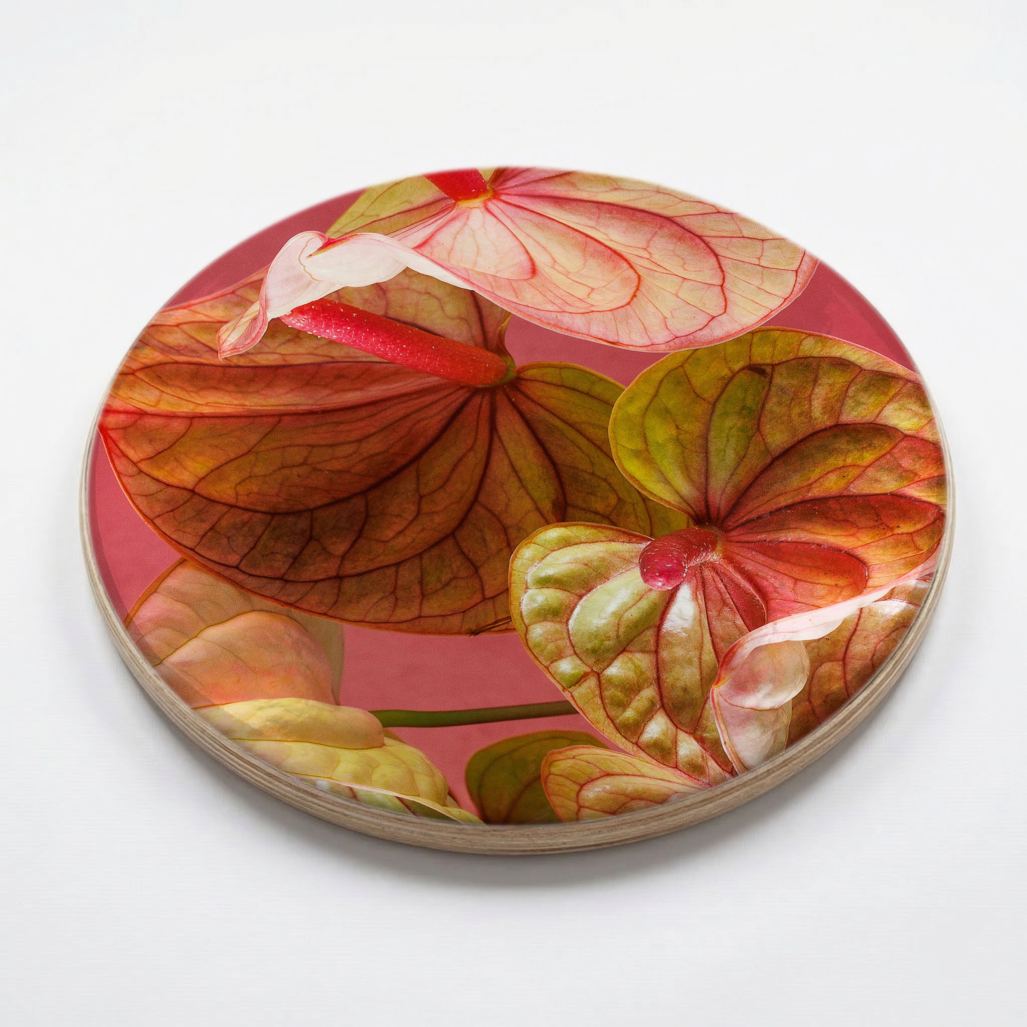 ANTHURIUM LIGHT PINK AND GREEN ON MAGENTA CHEESEBOARD