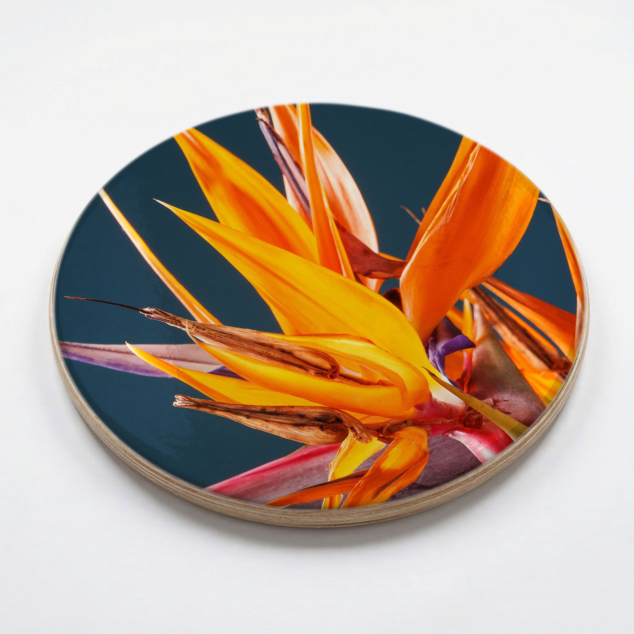 STRELITZIA ORANGE ON BLUE CHEESEBOARD