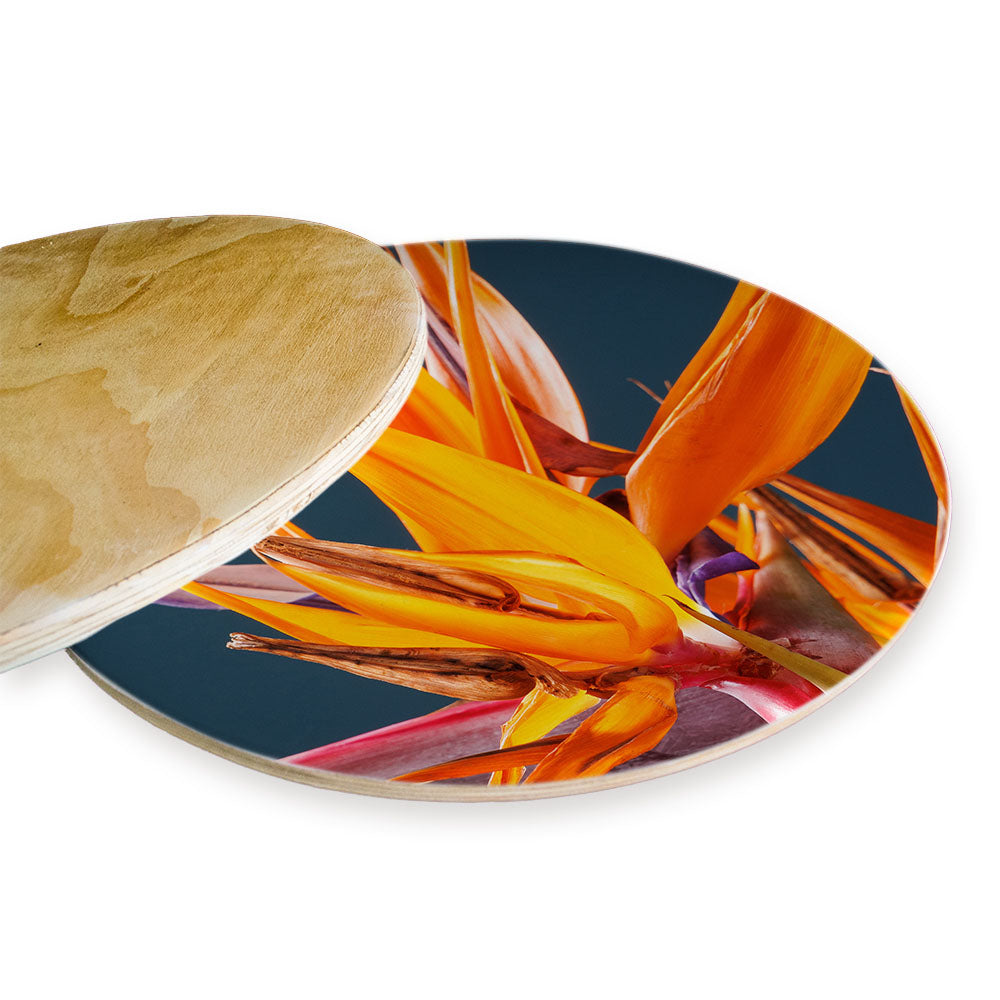 STRELITZIA ORANGE ON BLUE CHEESEBOARD