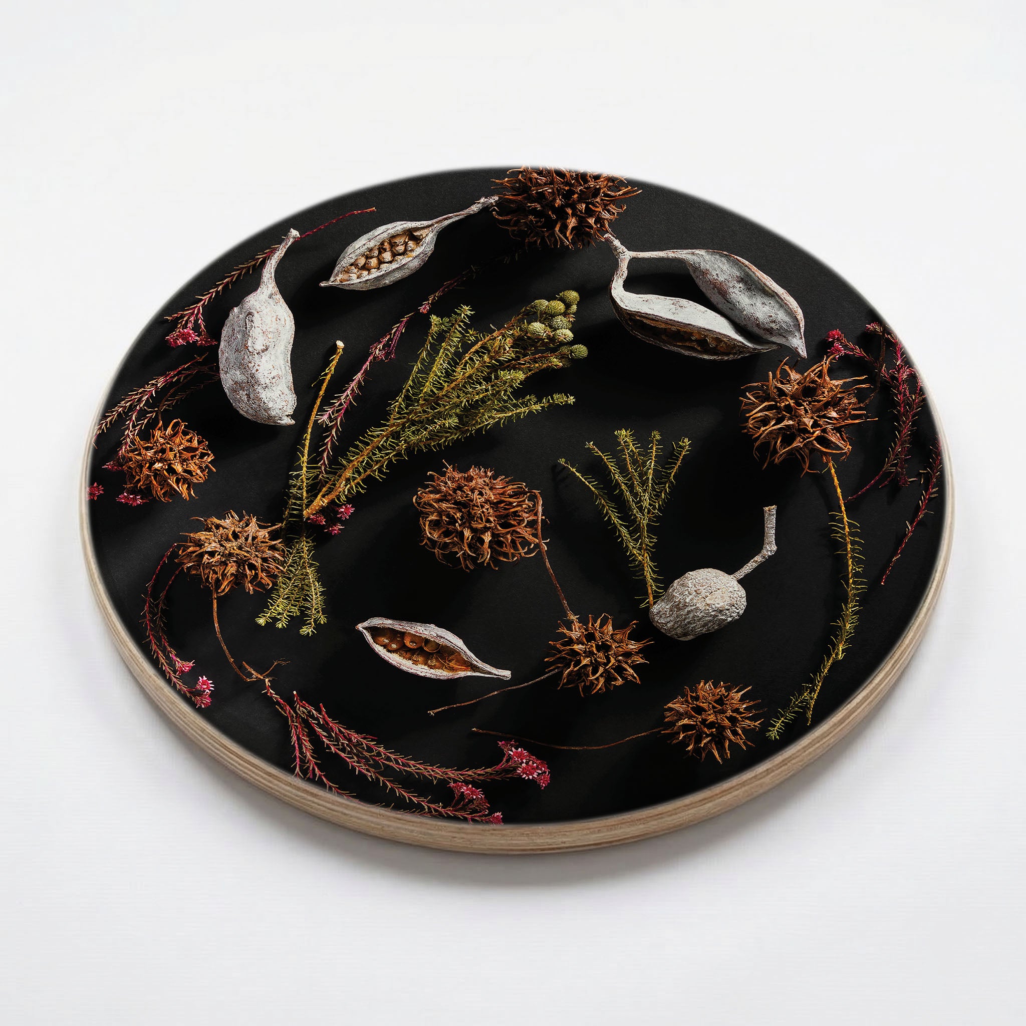 DRIED PODS, SPRIGS, AND SEEDS ON BLACK CHEESEBOARD