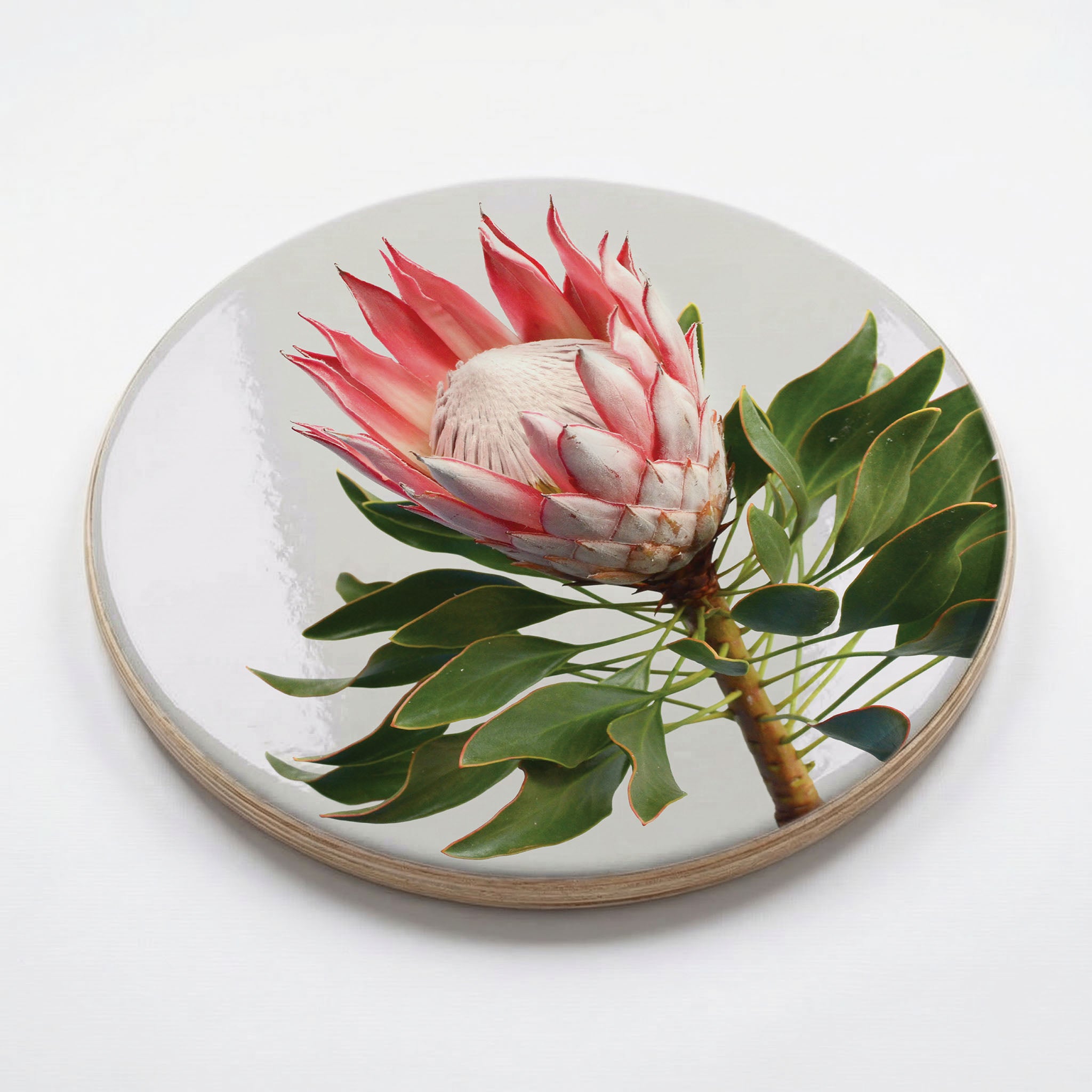 THE SOLO PROTEA CHEESEBOARD