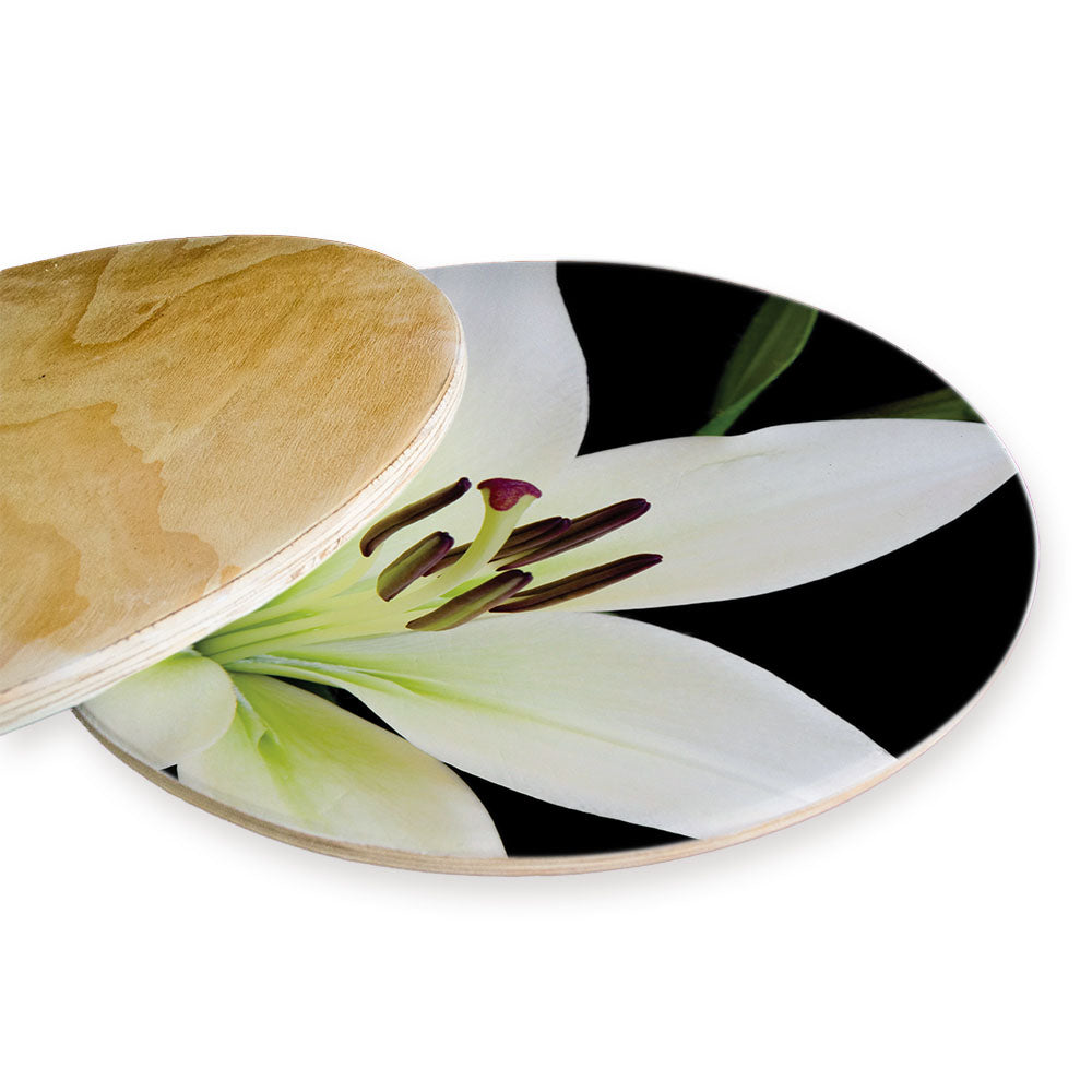 NIGHT LILY CHEESEBOARD