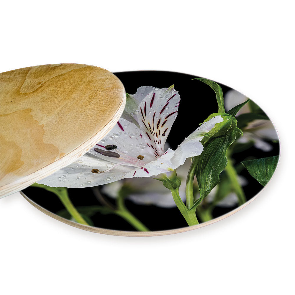 INCA TRIO CHEESEBOARD