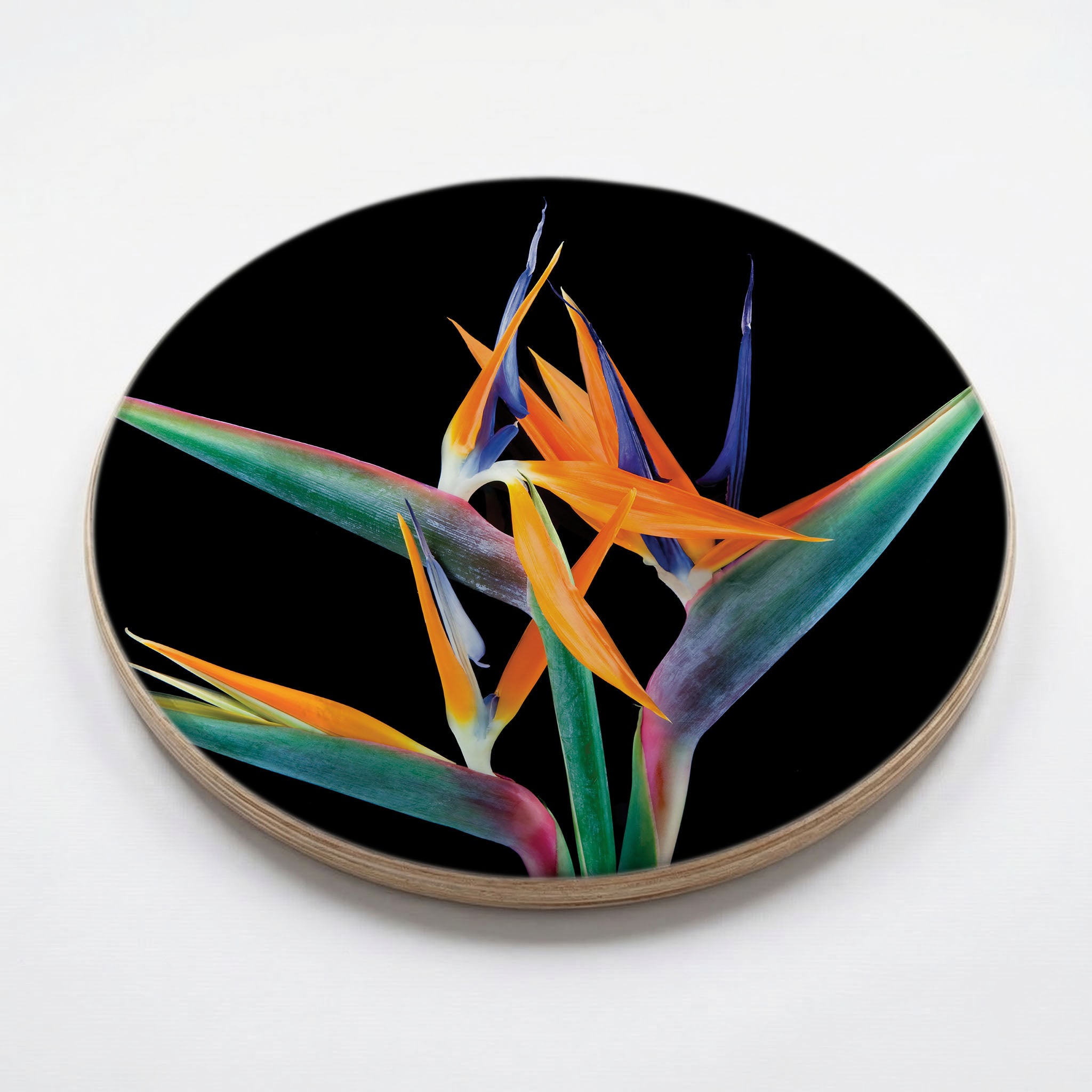 BIRD OF PARADISE CHEESEBOARD