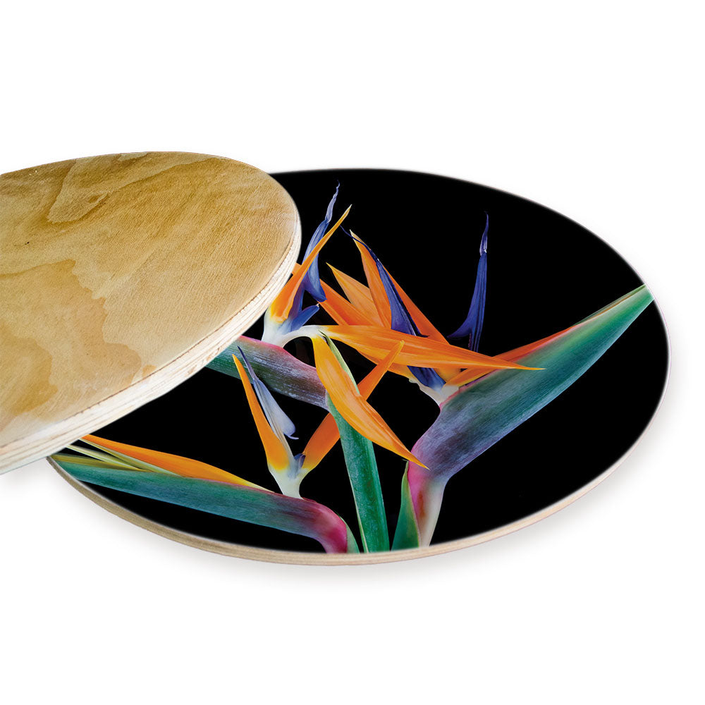 BIRD OF PARADISE CHEESEBOARD