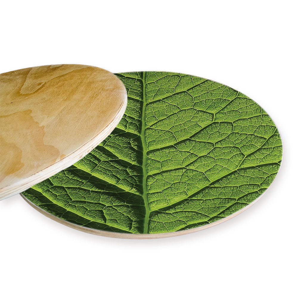 GREEN VEINS CHEESEBOARD