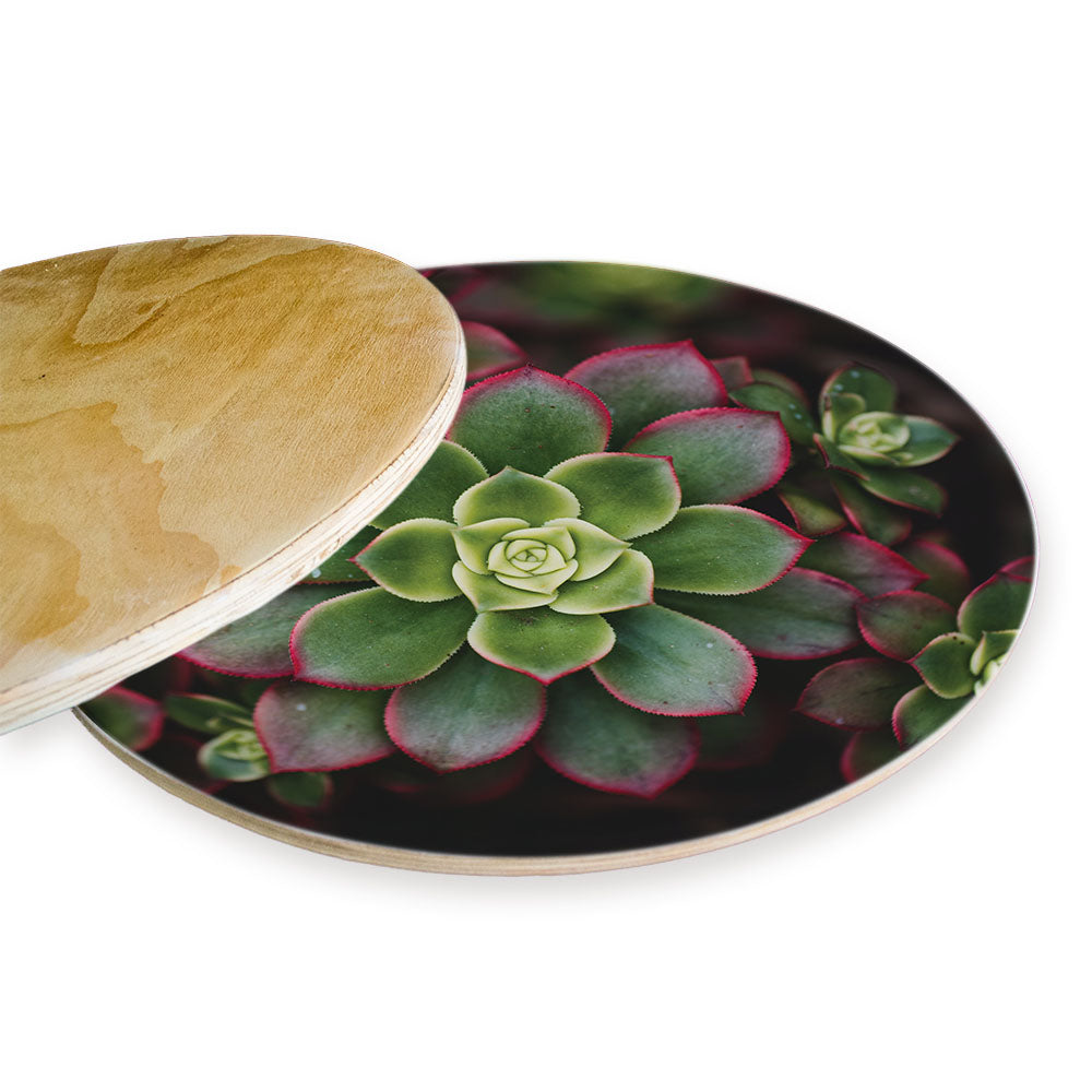 DARK GARDEN SUCCULENTS CHEESEBOARD