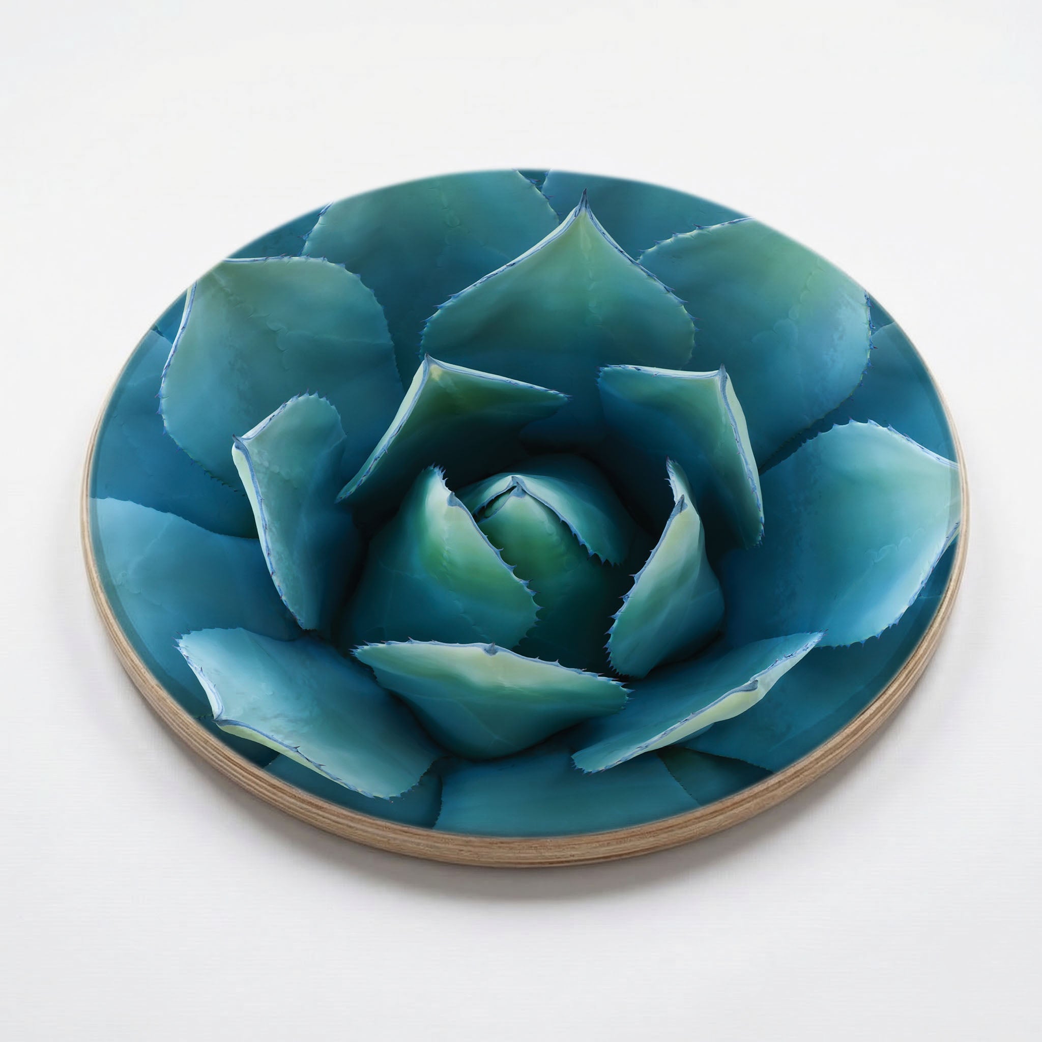 BLUE POINT SUCCULENT CHEESEBOARD