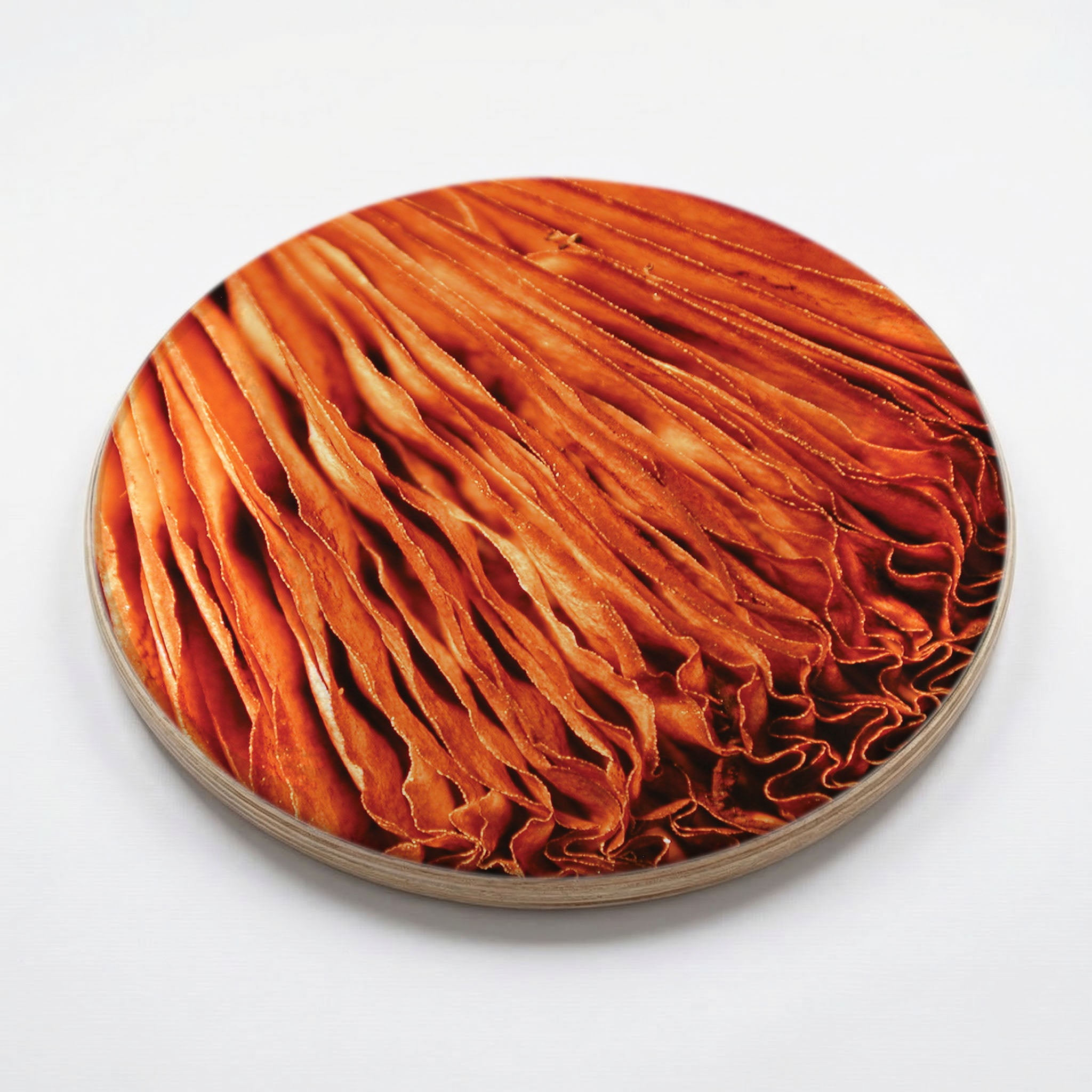 MACRO MUSHROOM CHEESEBOARD