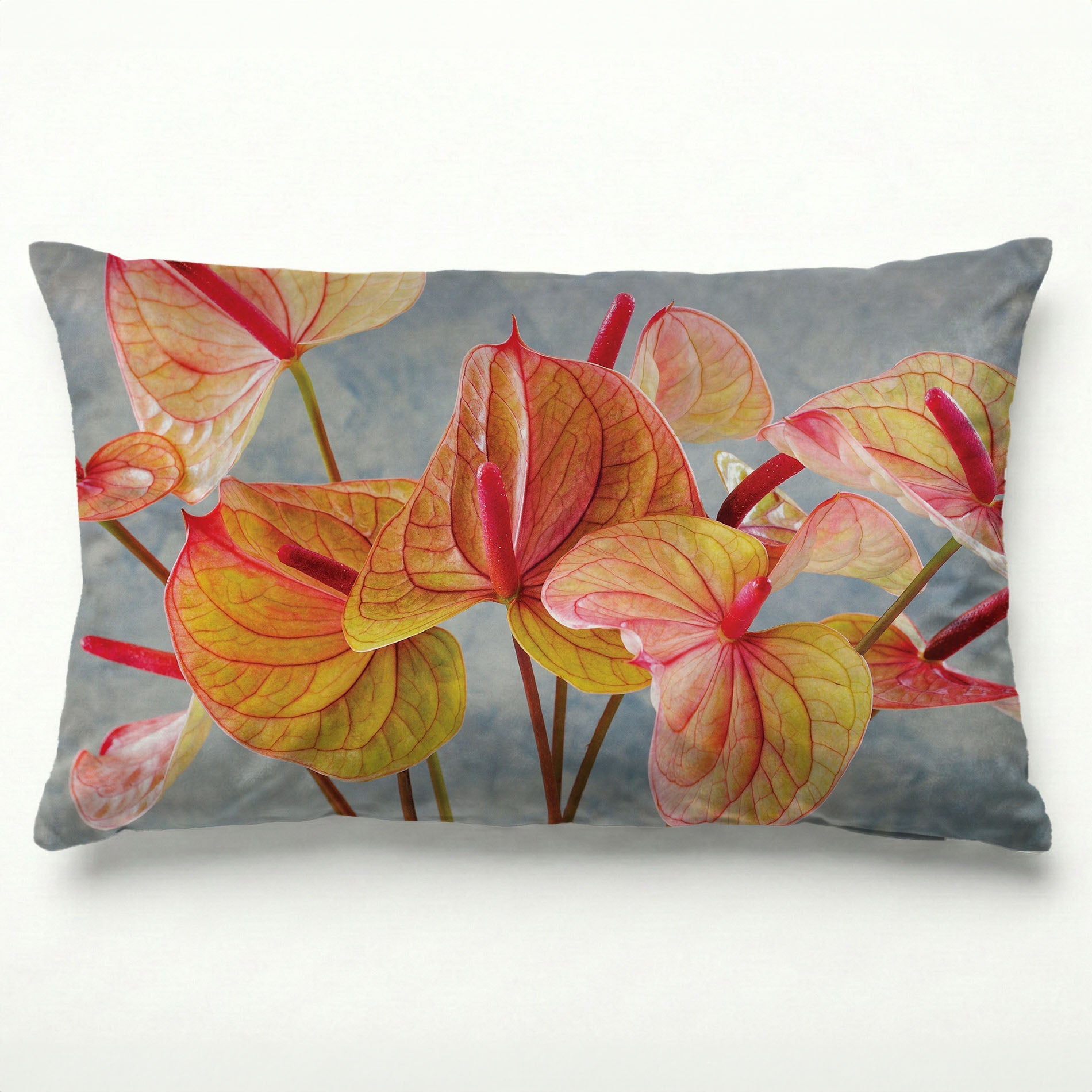 ANTHURIUM LIGHT PINK AND GREEN ON BLUE SCATTER CUSHION