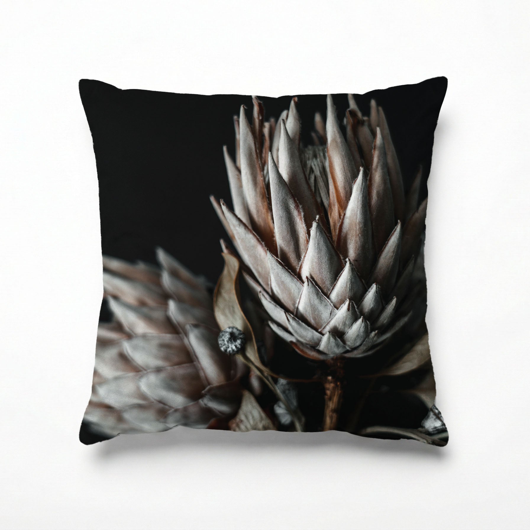FADED PROTEAS SCATTER CUSHION