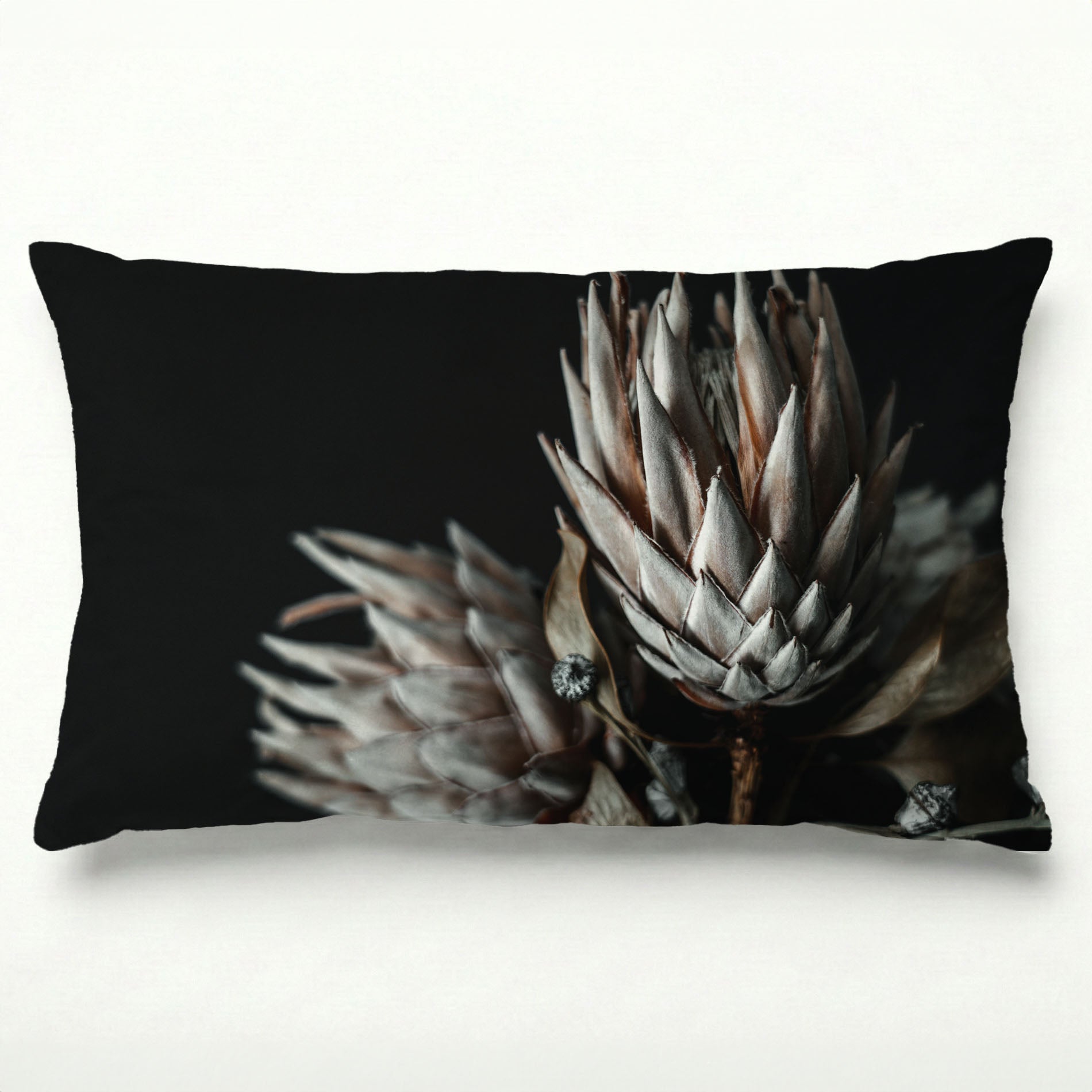 FADED PROTEAS SCATTER CUSHION