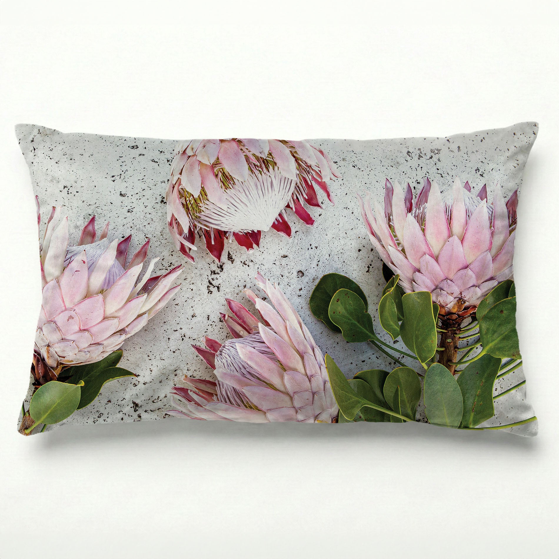 FLORAL PINK PROTEAS ON WHITE SCATTER CUSHION