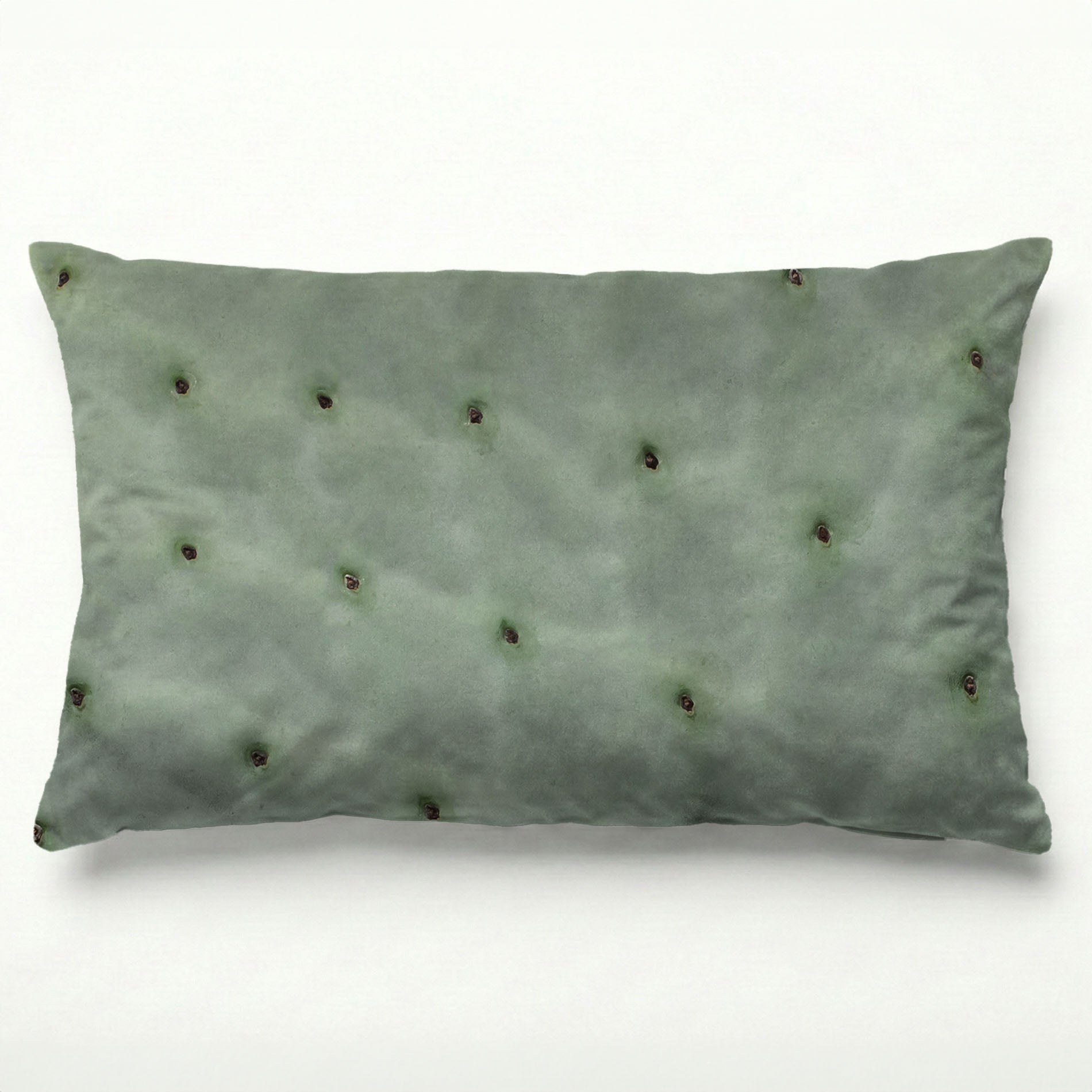 NATURAL GREEN PRICKLY PEAR LEAF SCATTER CUSHION