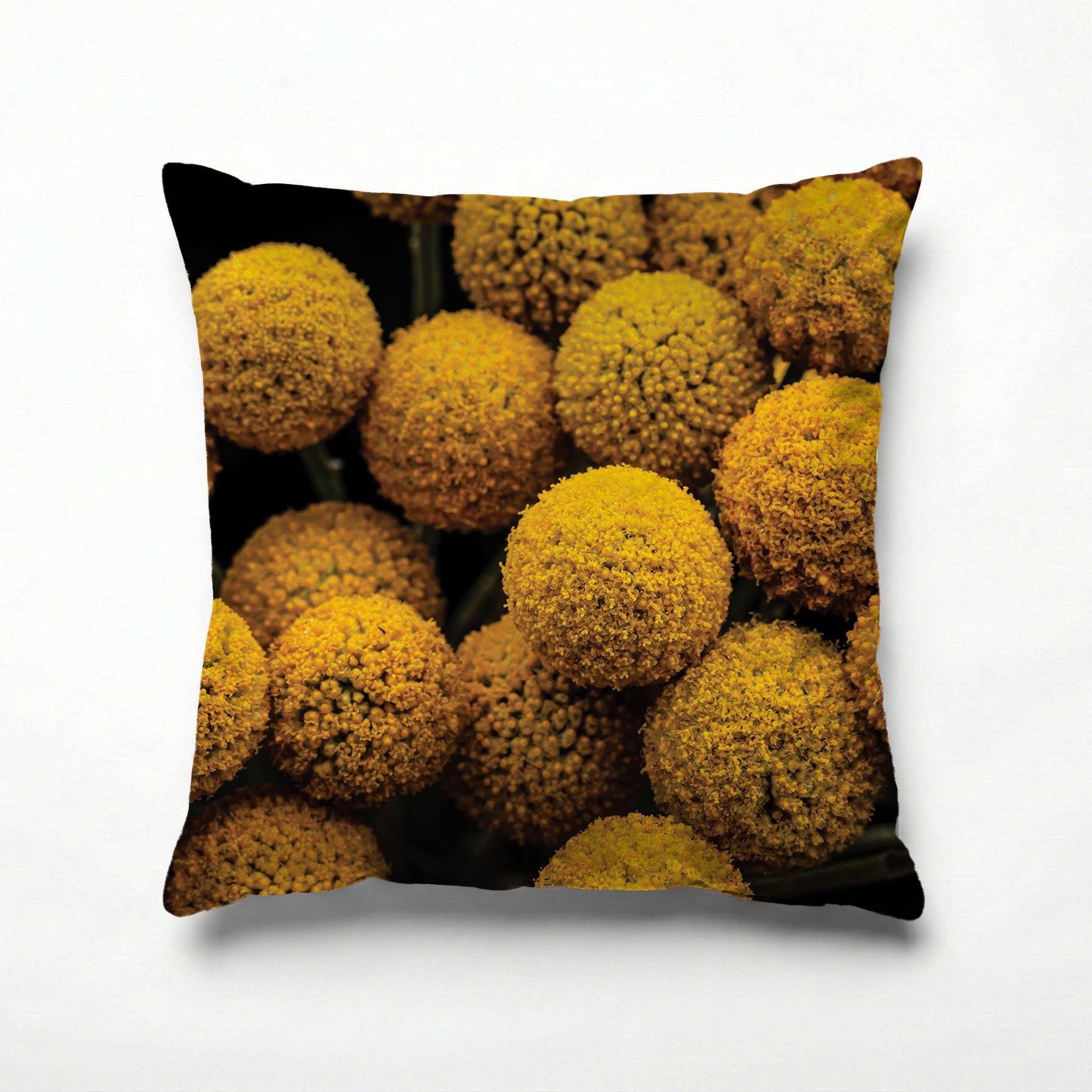 NATURAL YELLOW CRASPEDIA BILLY BUTTON BALLS SCATTER CUSHION