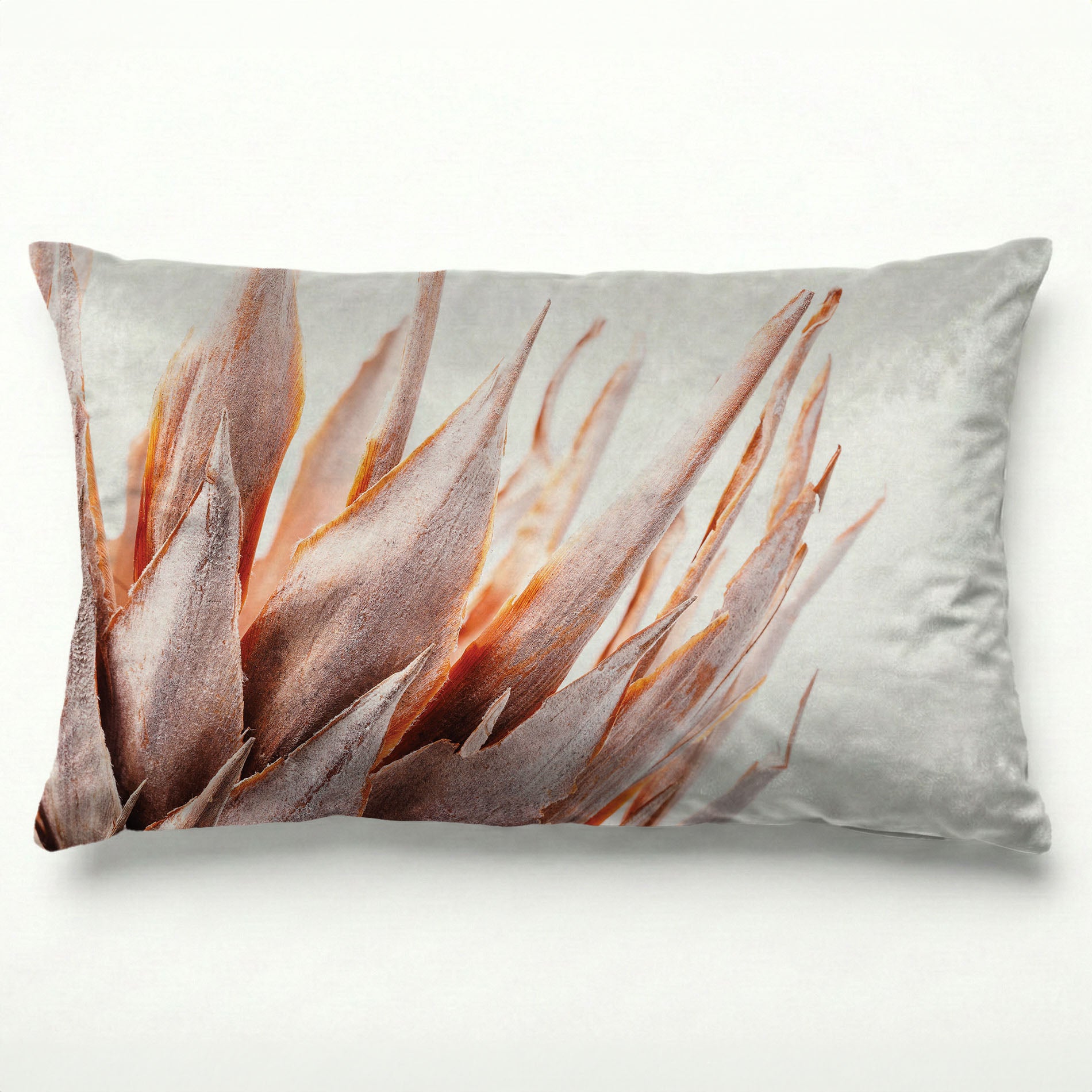 DRIED RUSTIC PINK PROTEA SCATTER CUSHION