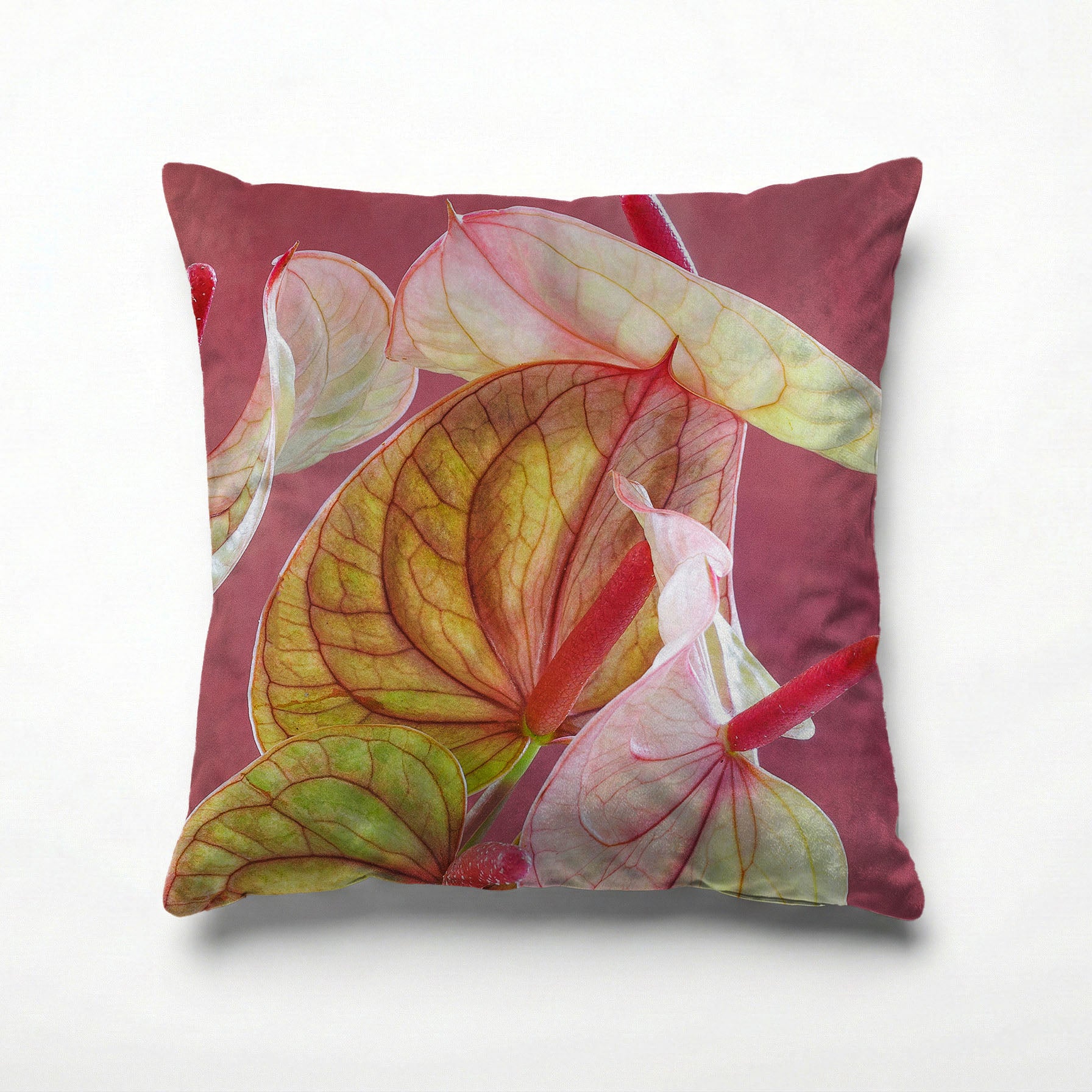 ANTHURIUM LIGHT PINK AND GREEN ON MAGENTA SCATTER CUSHION
