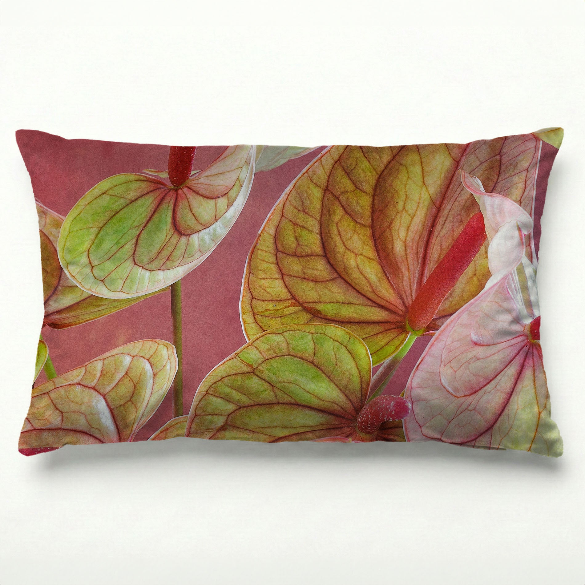ANTHURIUM LIGHT PINK AND GREEN ON MAGENTA SCATTER CUSHION