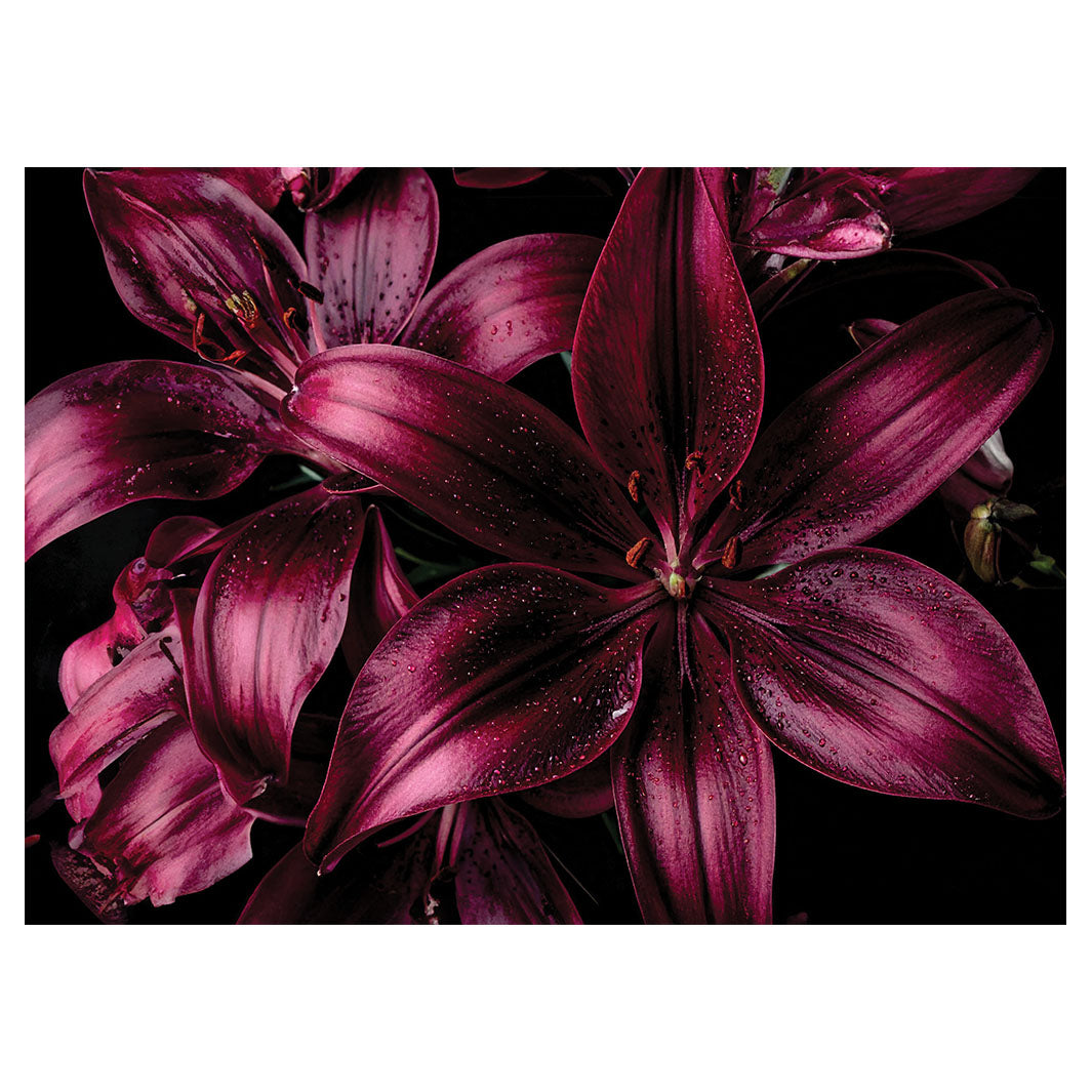 MAGENTA LILY TEA TRAY