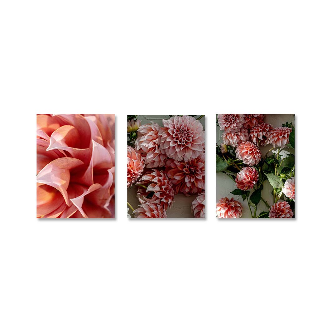 FLORAL PINK DAHLIA BIRCH BLOCKS 3 PIECE COLLAGE