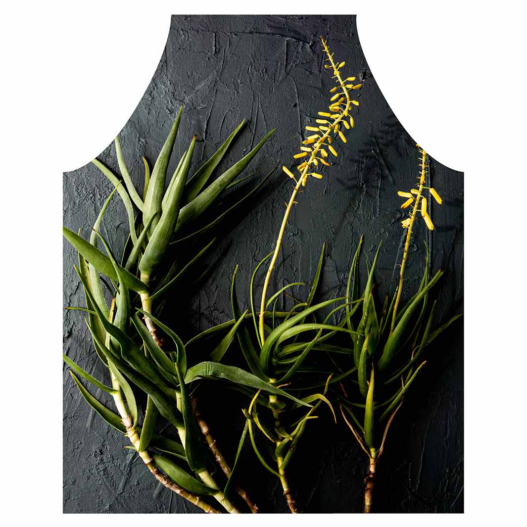 NATURAL YELLOW BLOSSOMS ALOE BUSH ON GREY APRON