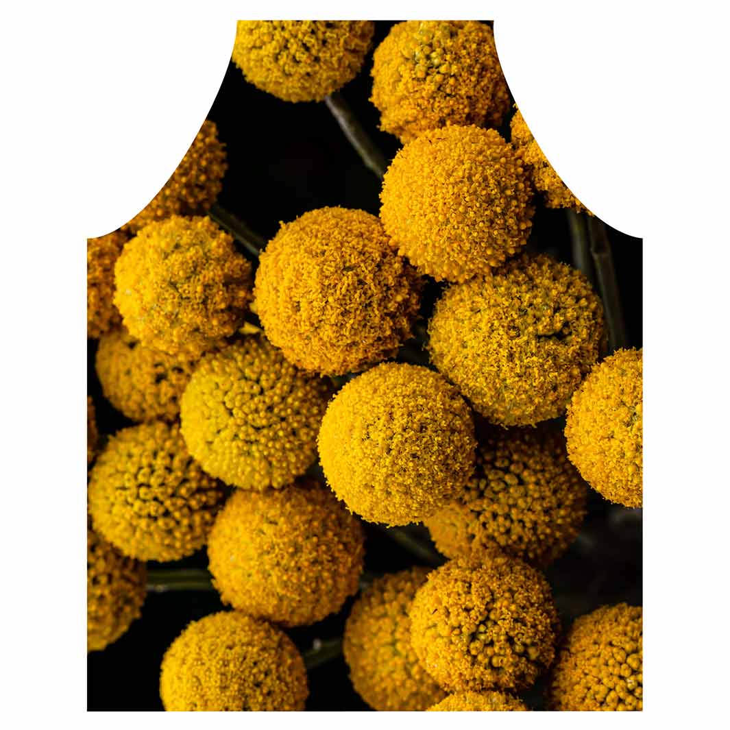 NATURAL YELLOW CRASPEDIA BILLY BUTTON BALLS APRON