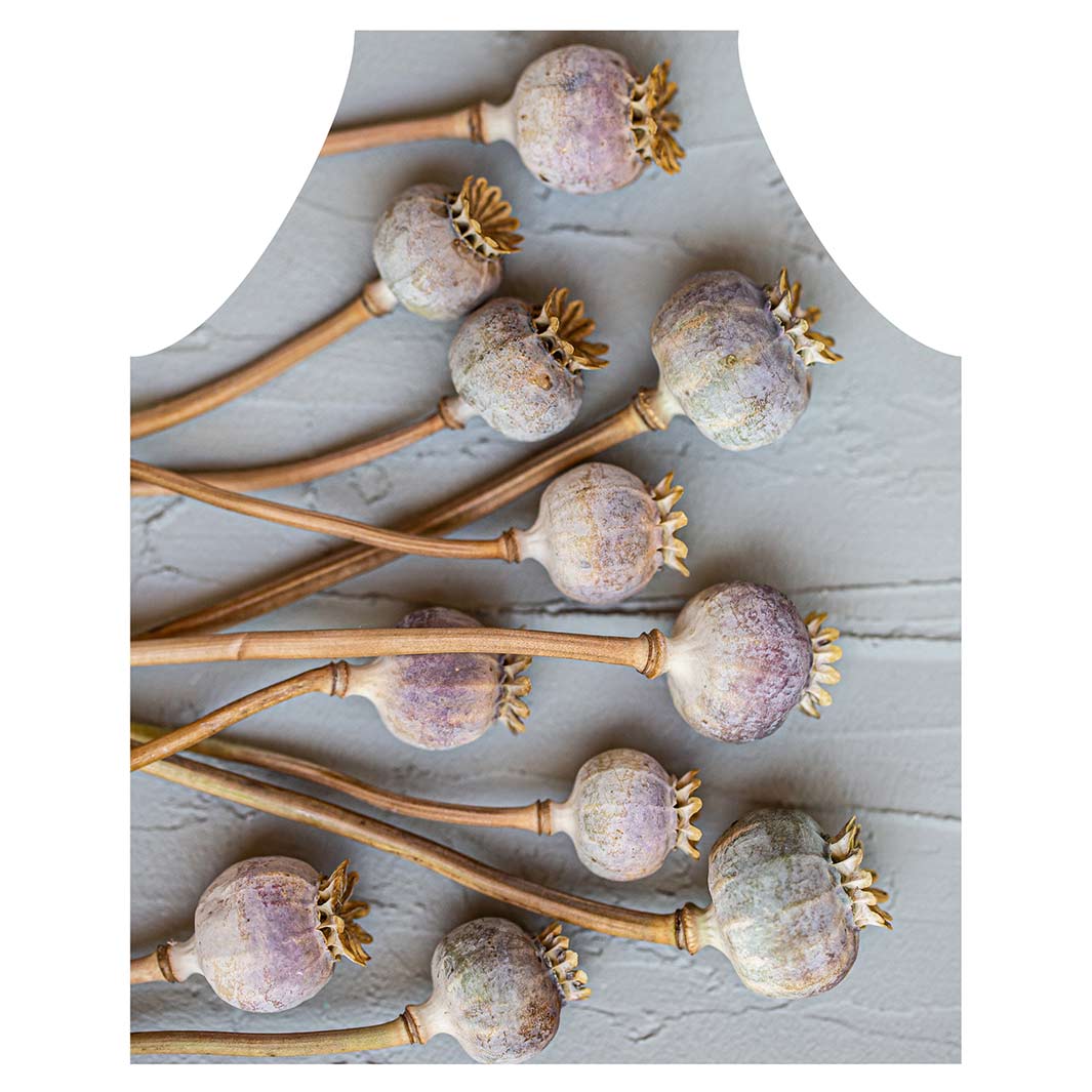 NATURAL PURPLE GIANT POPPY SEEDS ON GREY APRON