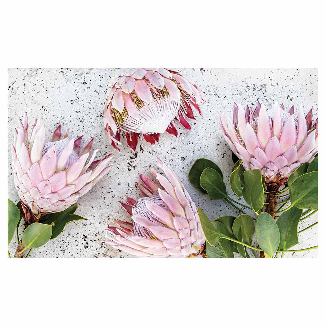 FLORAL PINK PROTEAS ON WHITE MULTI-PURPOSE MAT