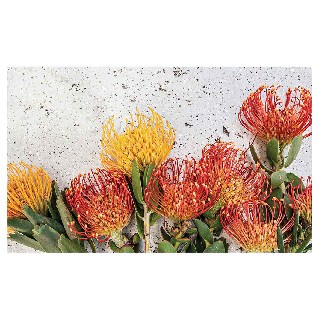 FLORAL ORANGE PIN CUSHIONS ON WHITE ANTI-FATIGUE KITCHEN MAT