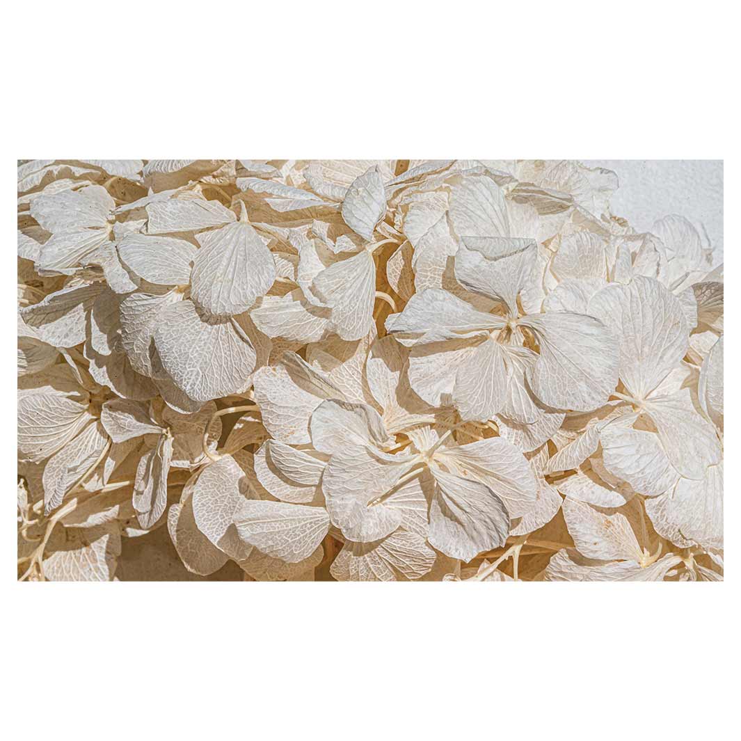 FLORAL CREAM BLEACHED HYDRANGEA LEAVES ANTI-FATIGUE KITCHEN MAT