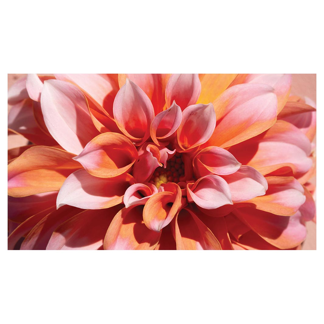 FLORAL PINK DAHLIA ANTI-FATIGUE KITCHEN MAT