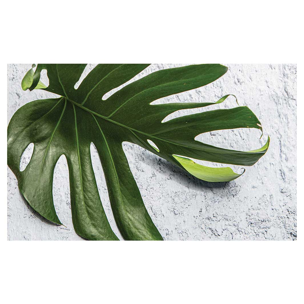 LEAVES GREEN MONSTERA LEAF ANTI-FATIGUE KITCHEN MAT