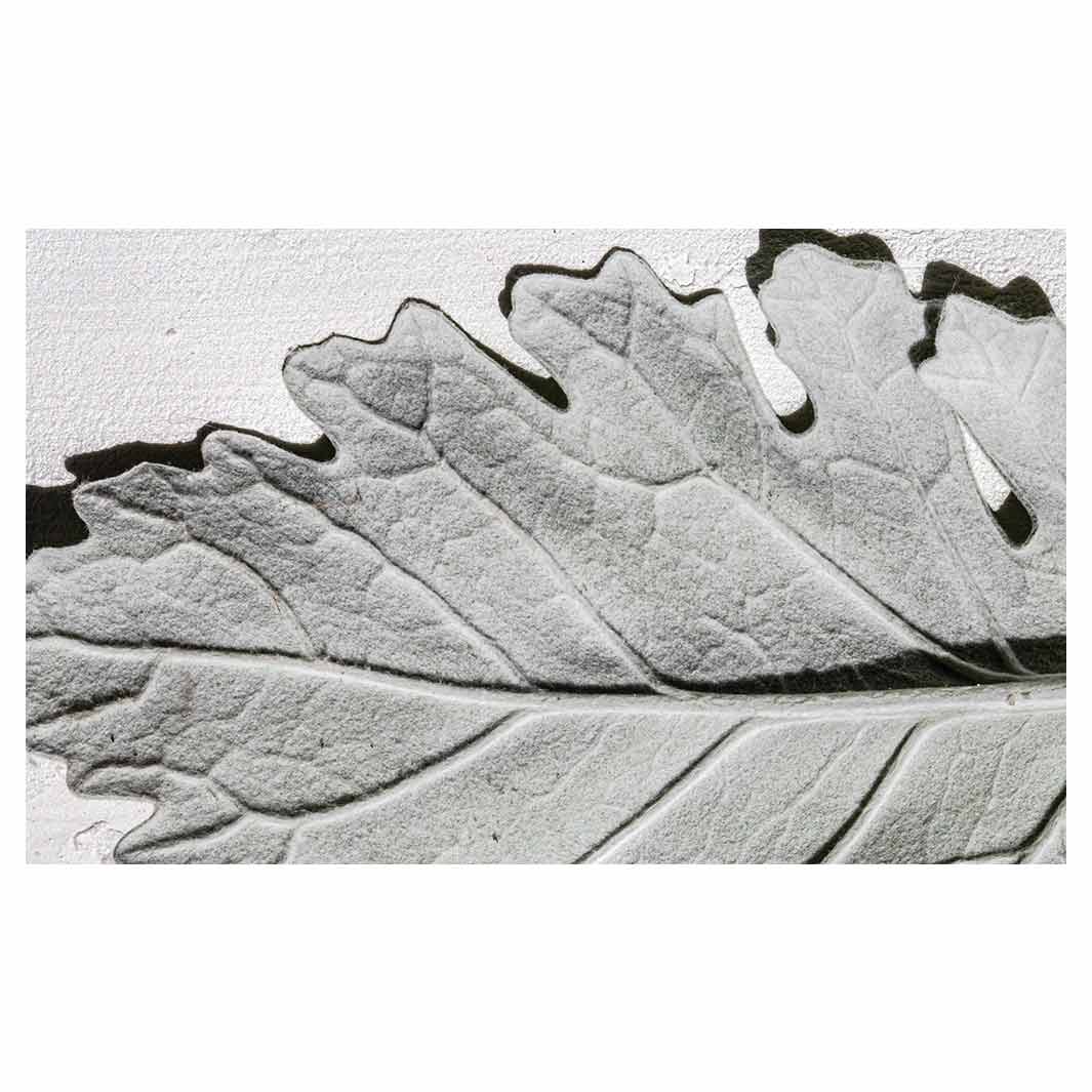 LEAVES GREY MONOCHROME LEAF MULTI-PURPOSE MAT