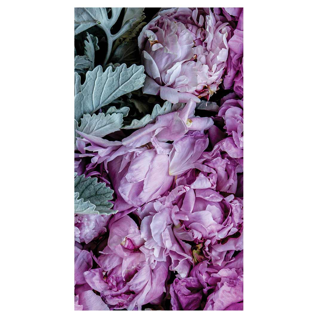 FLORAL SILVER LEAVES WITH PINK PEONIES BUFF